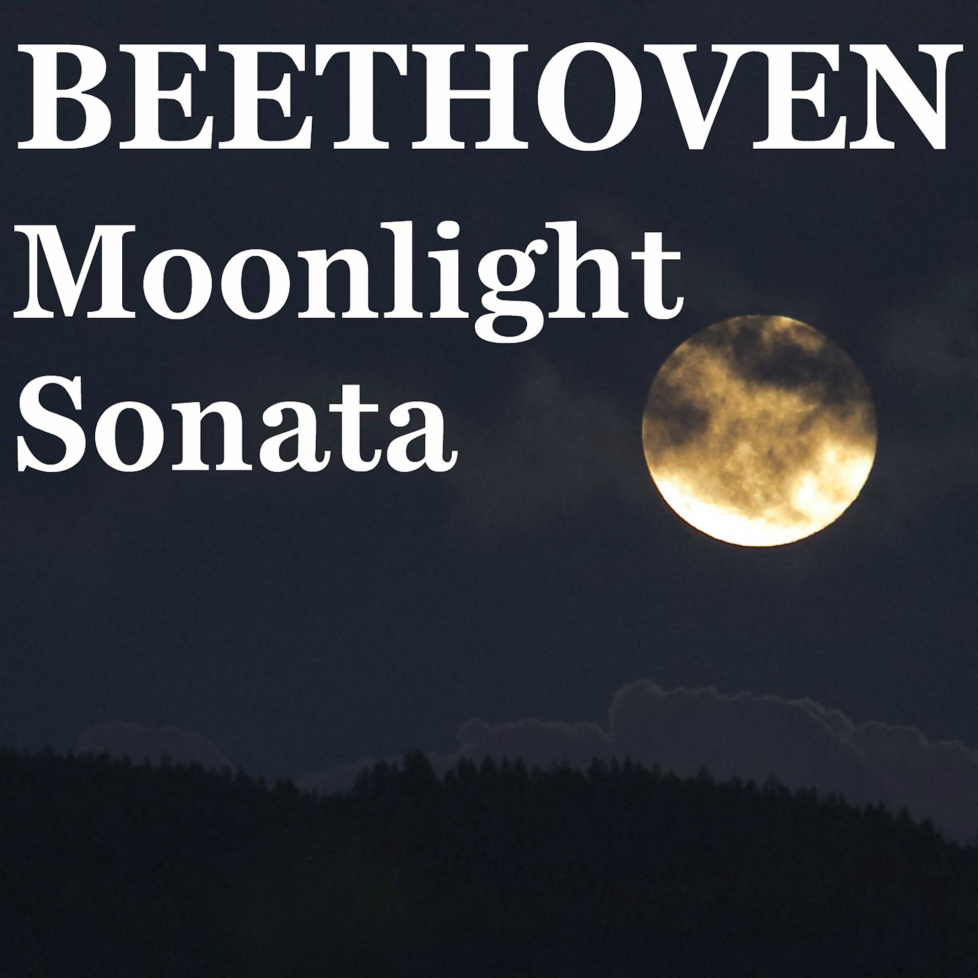 Постер альбома Beethoven Moonlight Sonata