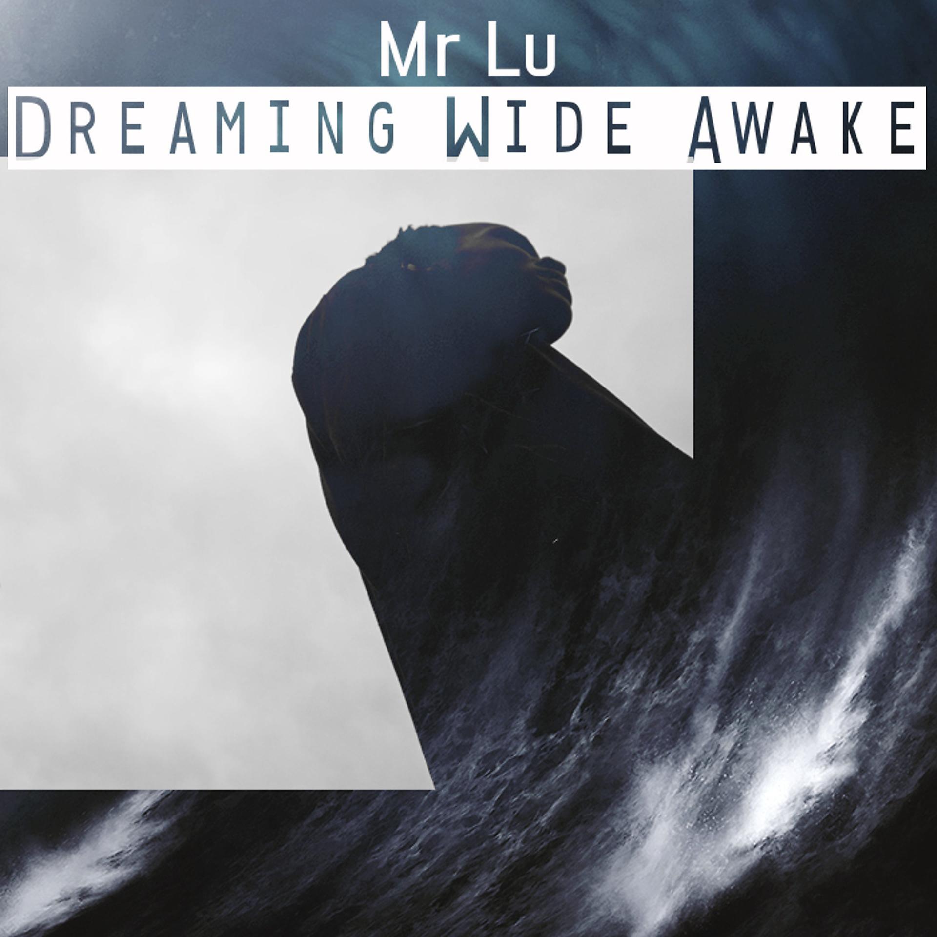 Постер альбома Dreaming Wide Awake