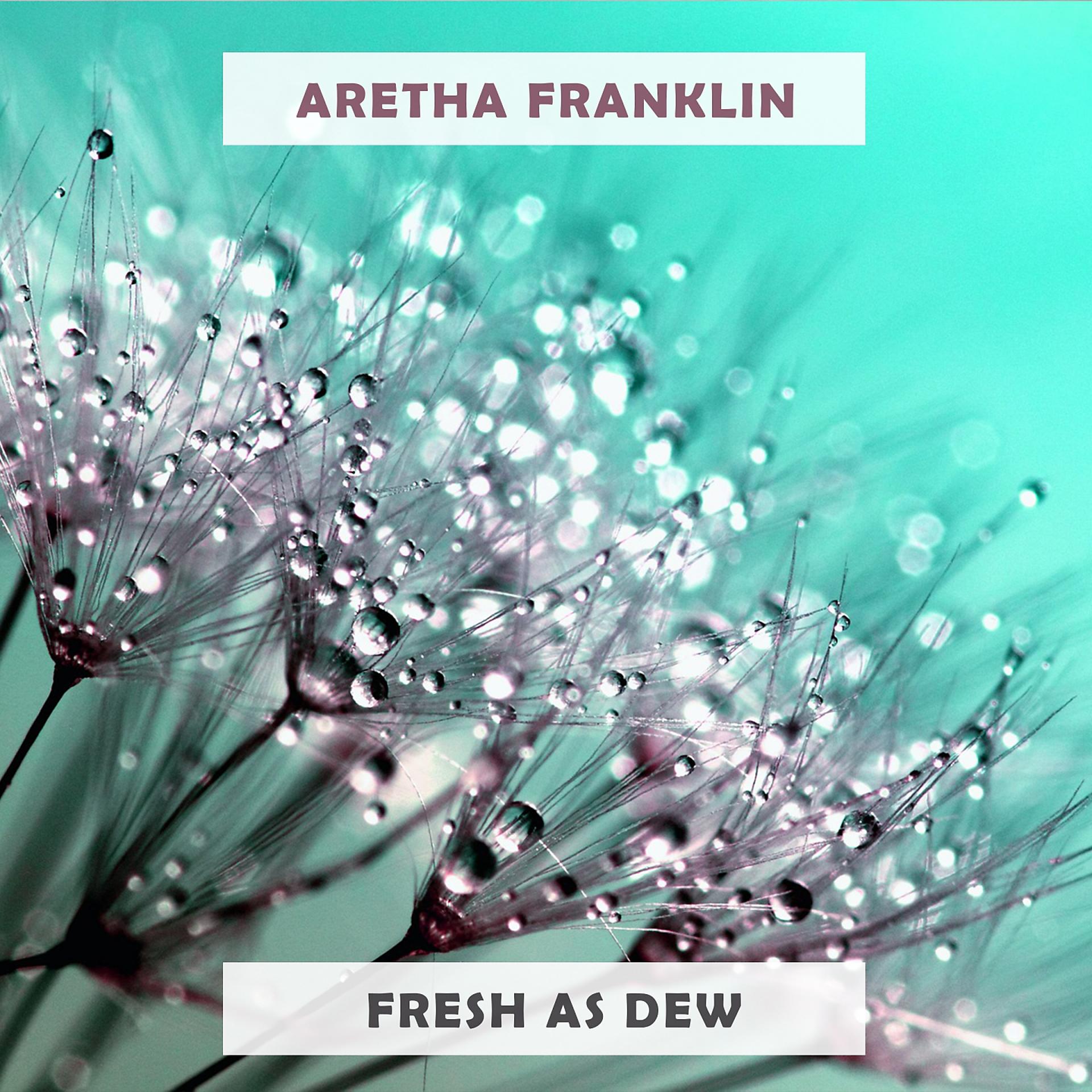 Постер альбома Fresh As Dew