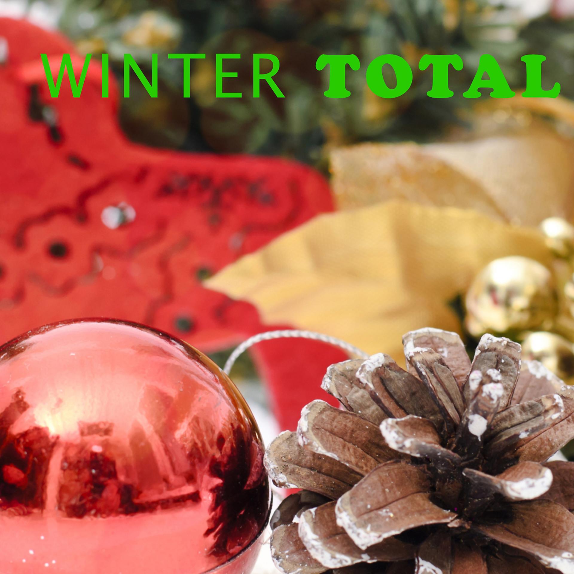 Постер альбома Winter Total