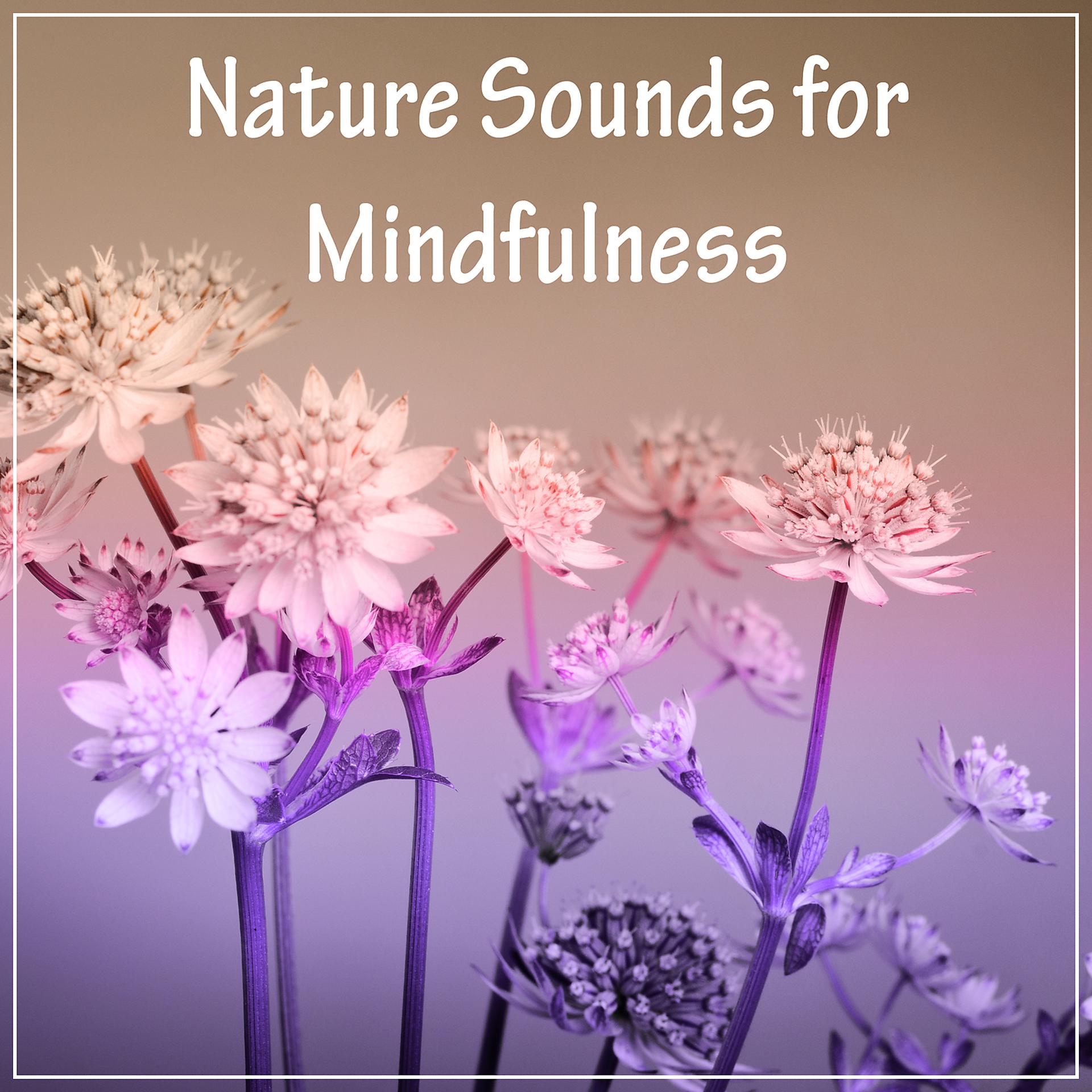 Постер альбома Nature Sounds for Mindfulness – Chakra Meditation, White Noise, Peaceful Music