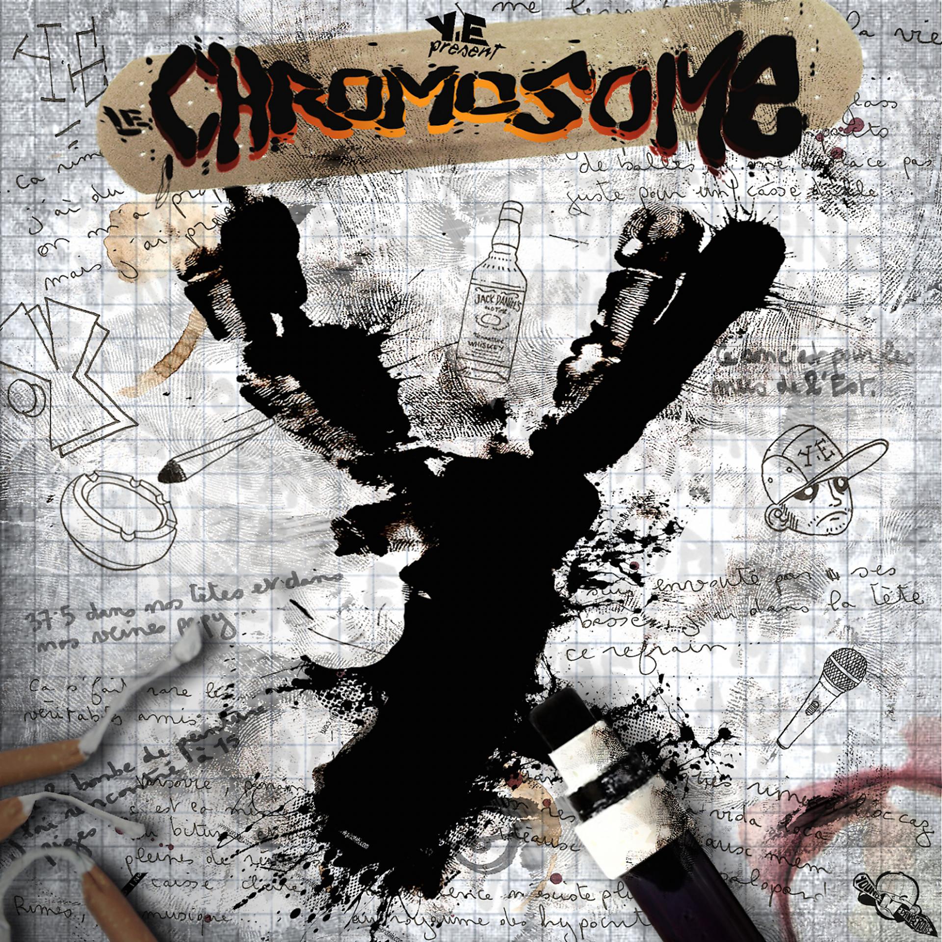 Постер альбома Le chromosome Y