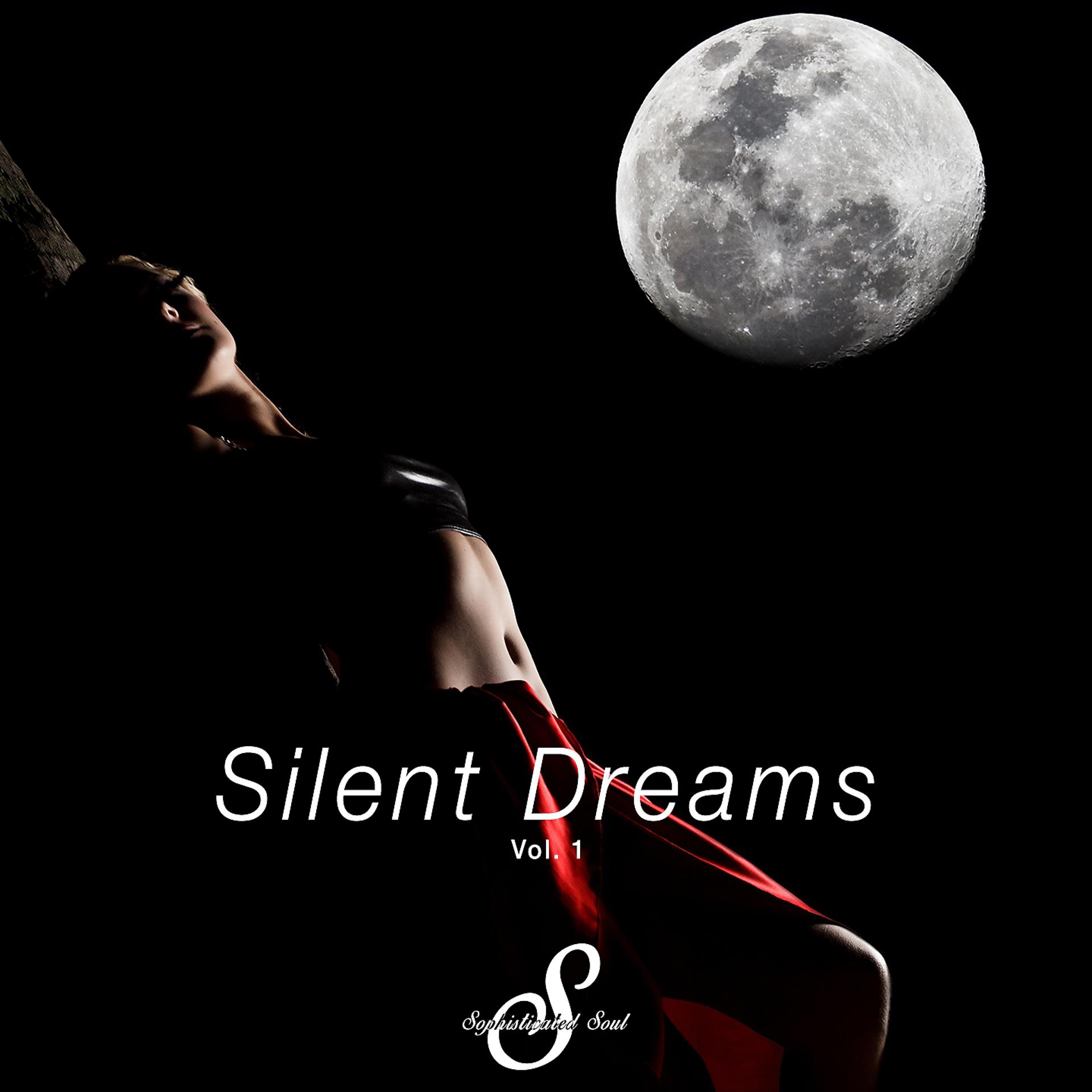 Постер альбома Silent Dreams, Vol. 1