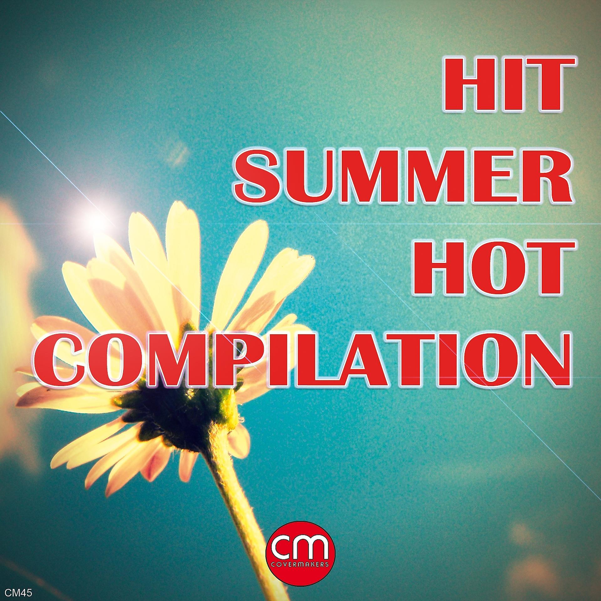 Постер альбома Hit Summer Hot Compilation