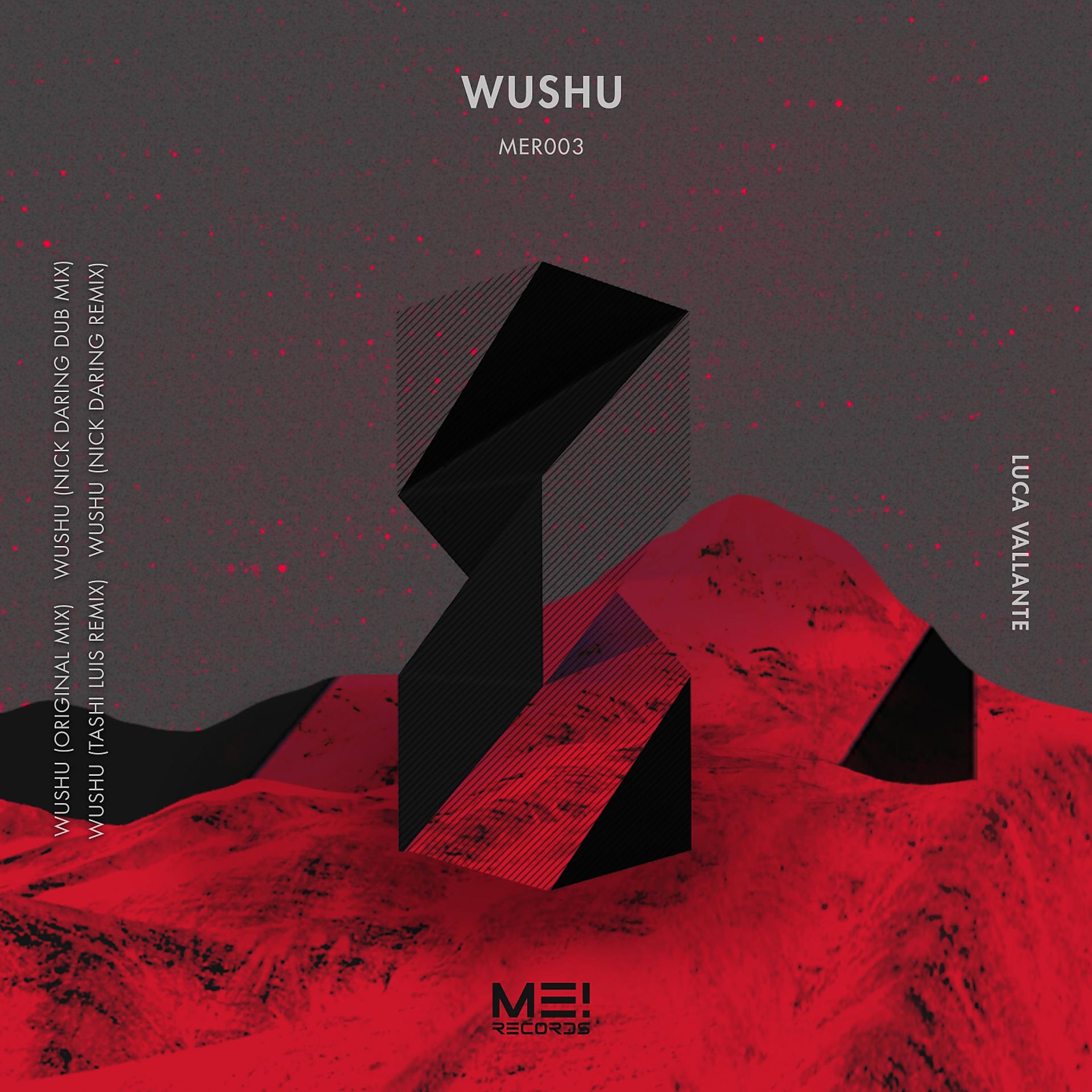 Постер альбома Wushu EP