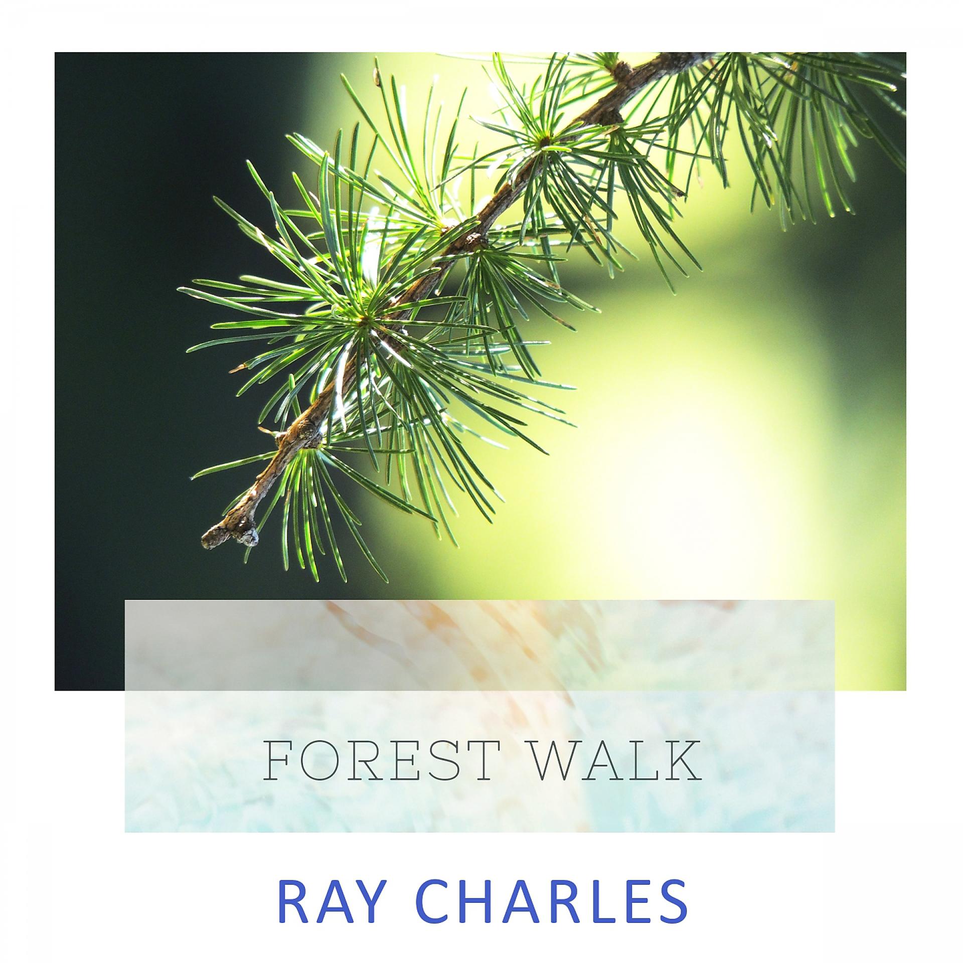 Постер альбома Forest Walk