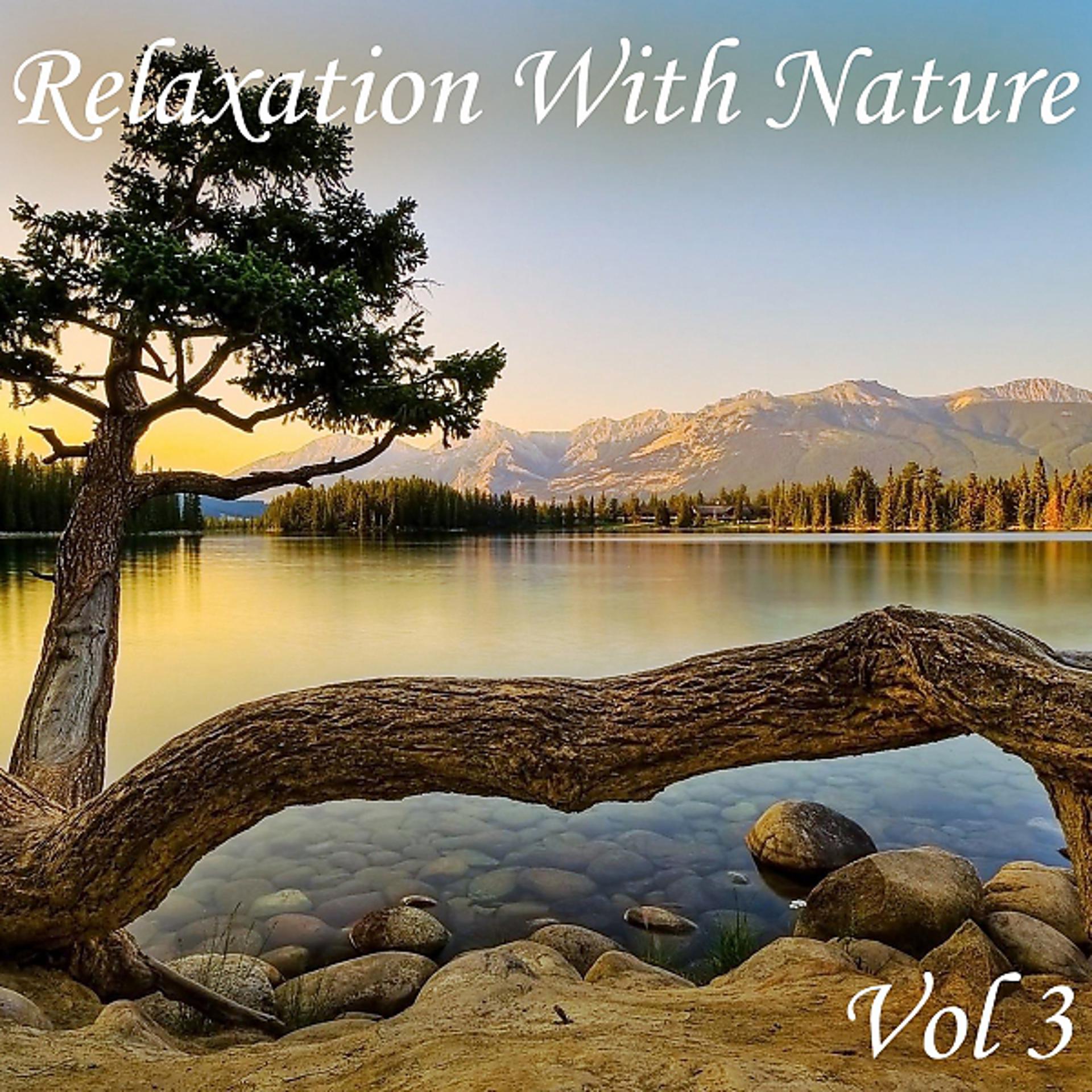 Постер альбома Relaxation With Nature, Vol. 3