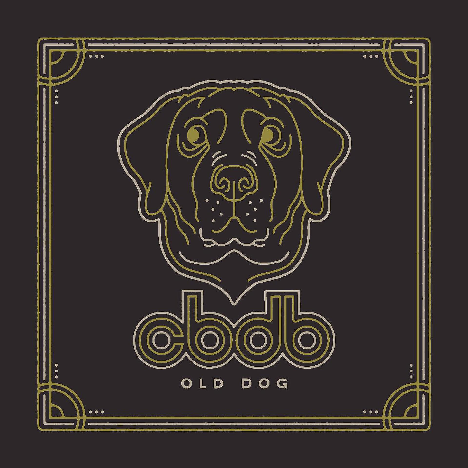 Постер альбома Old Dog