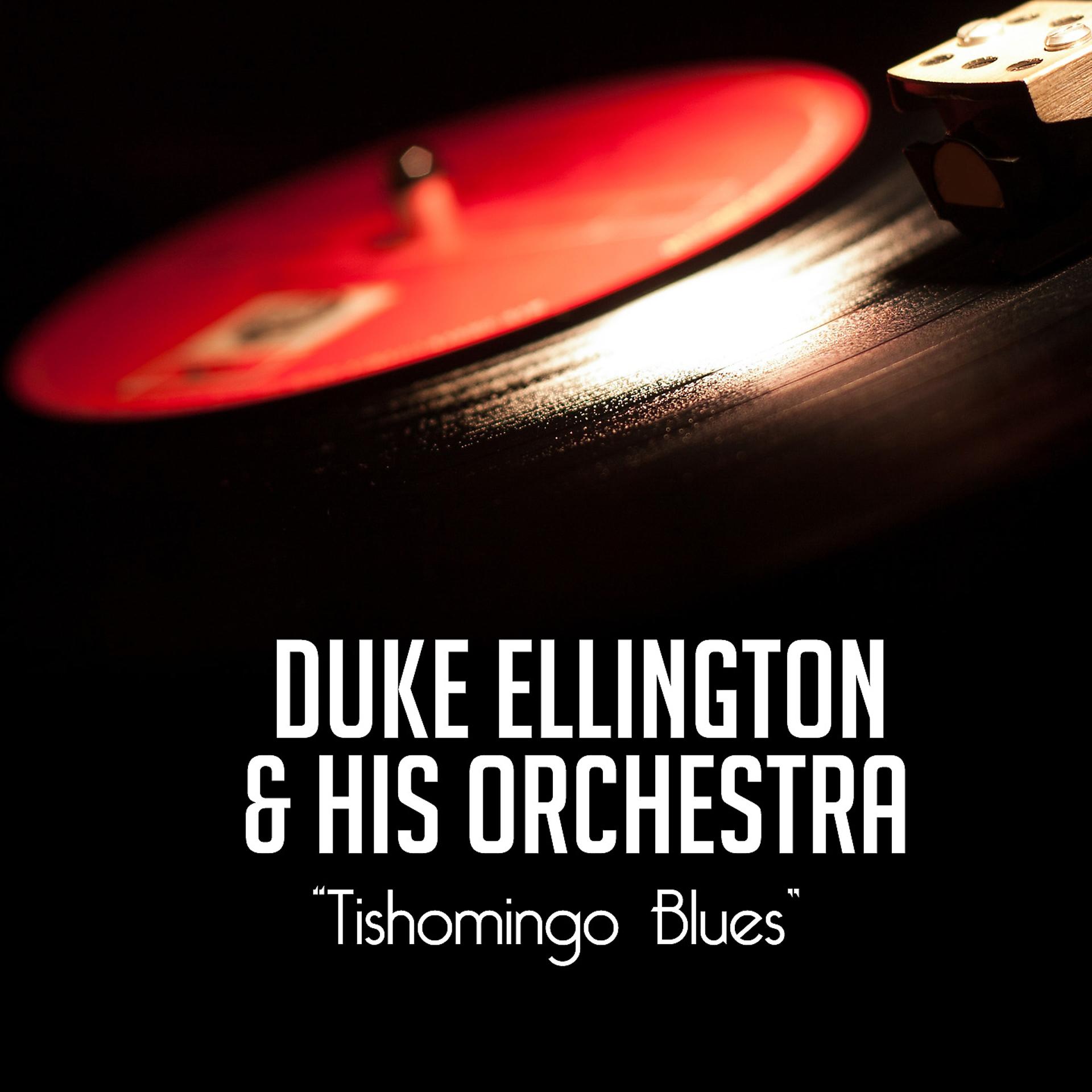 Постер альбома Tishomingo Blues