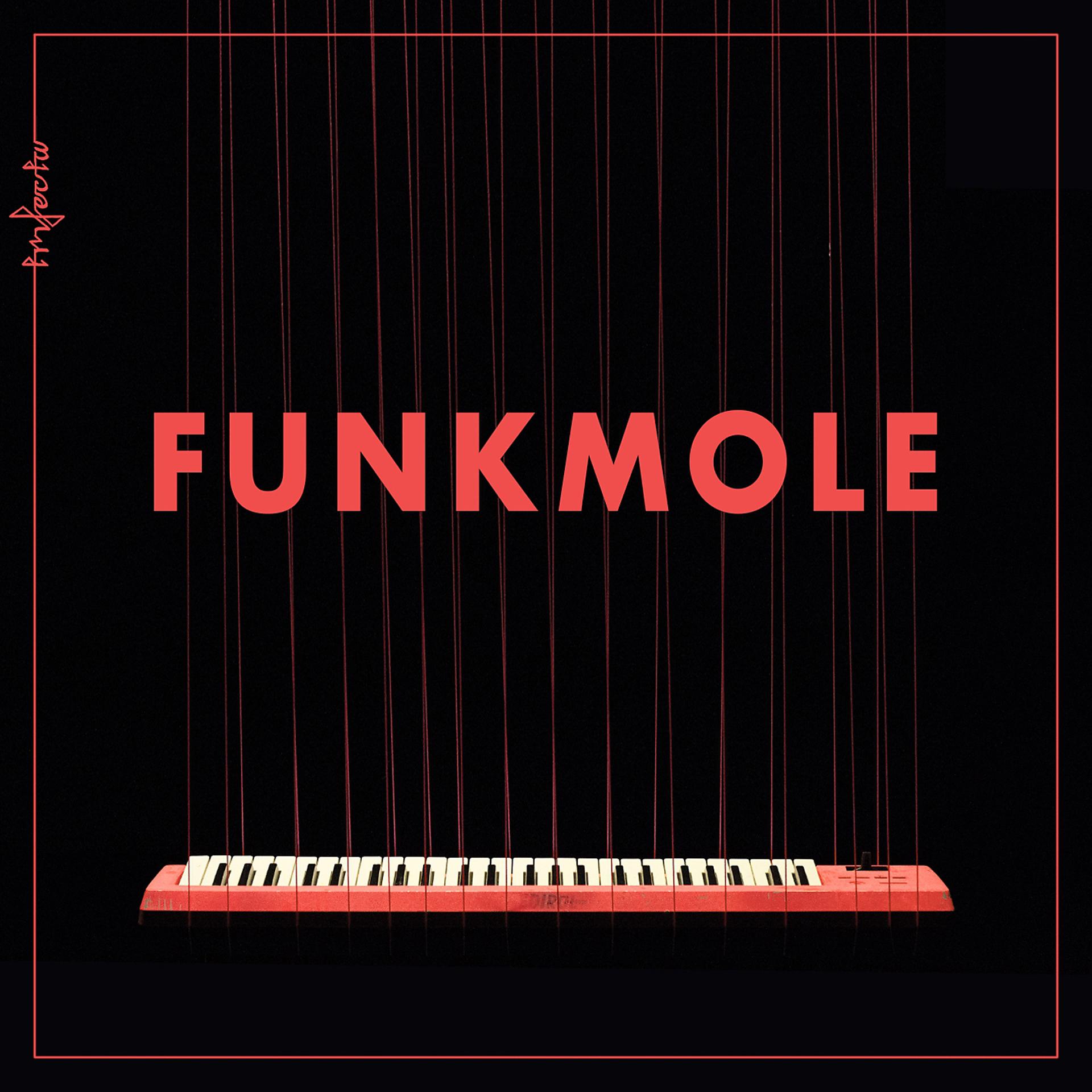 Постер альбома Funkmole