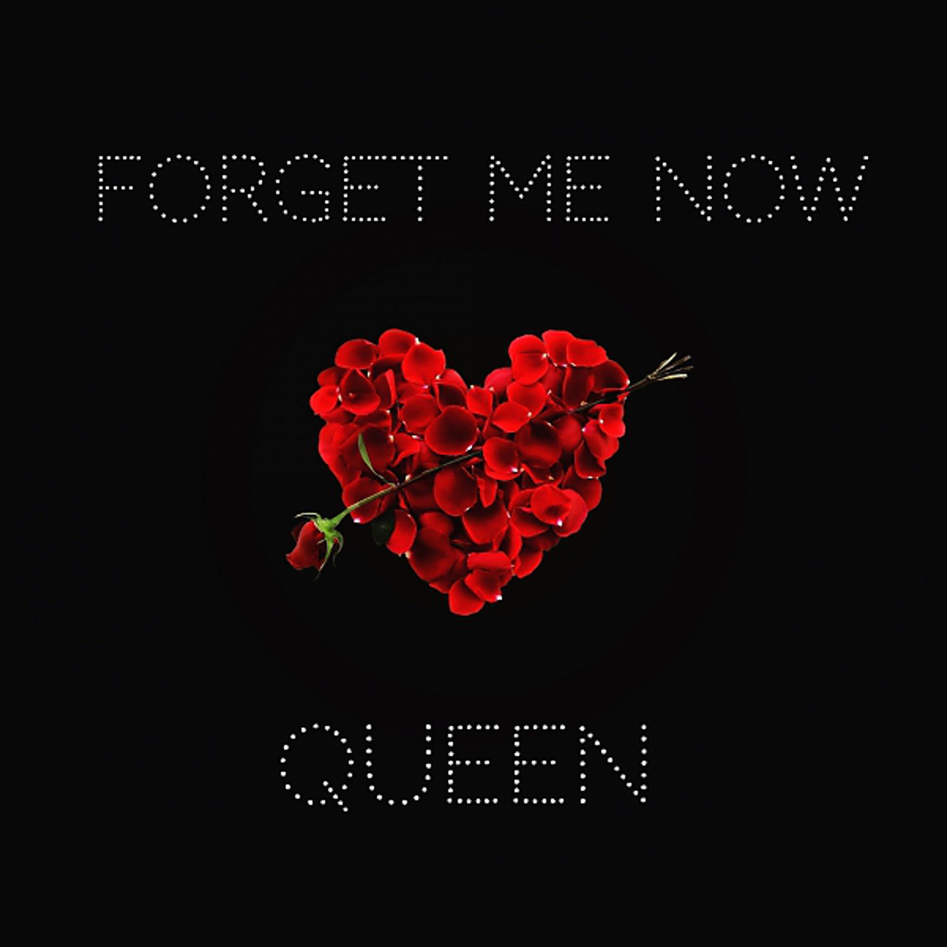 Постер альбома Forget Me Now