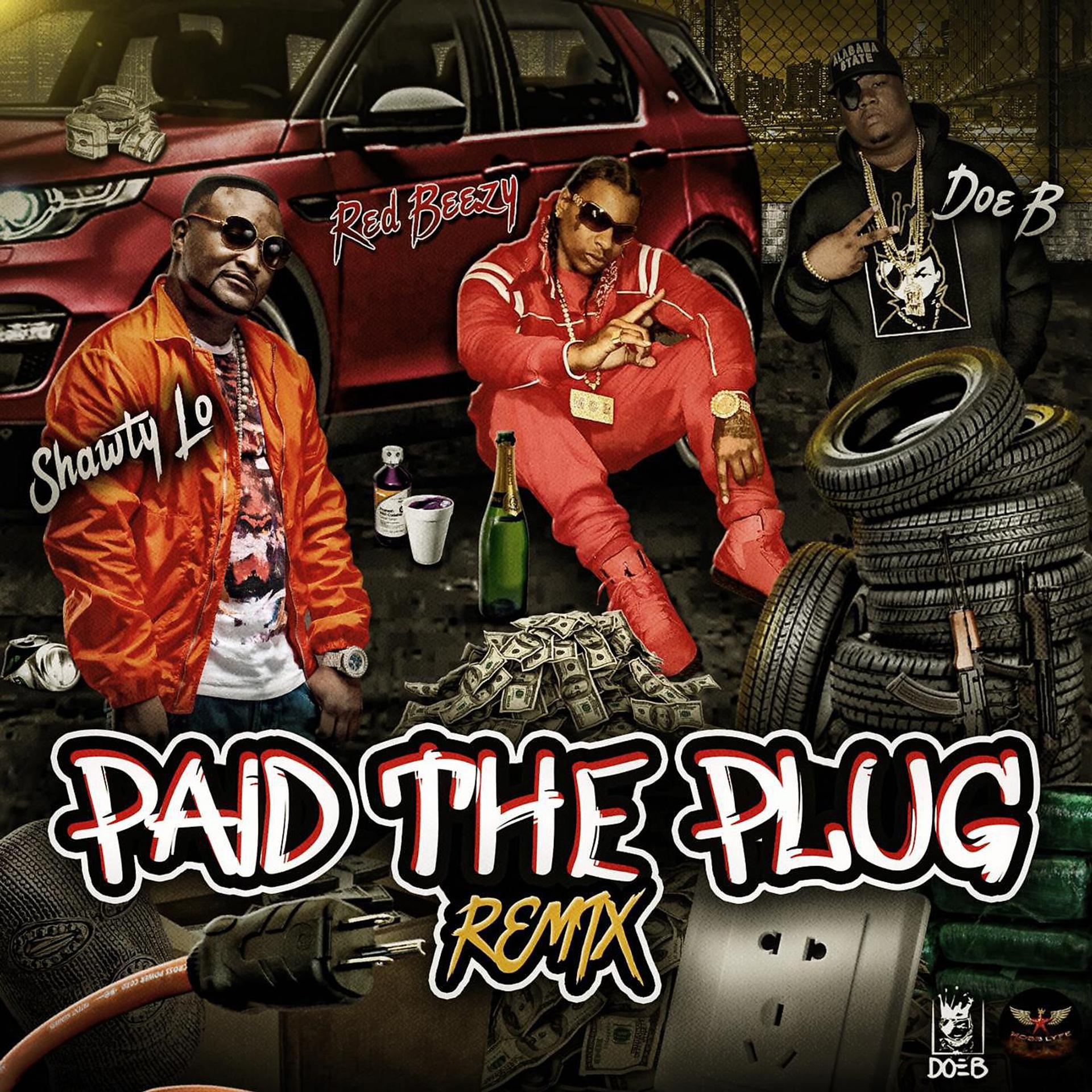 Постер альбома Paid the Plug (Remix) [Radio Version]