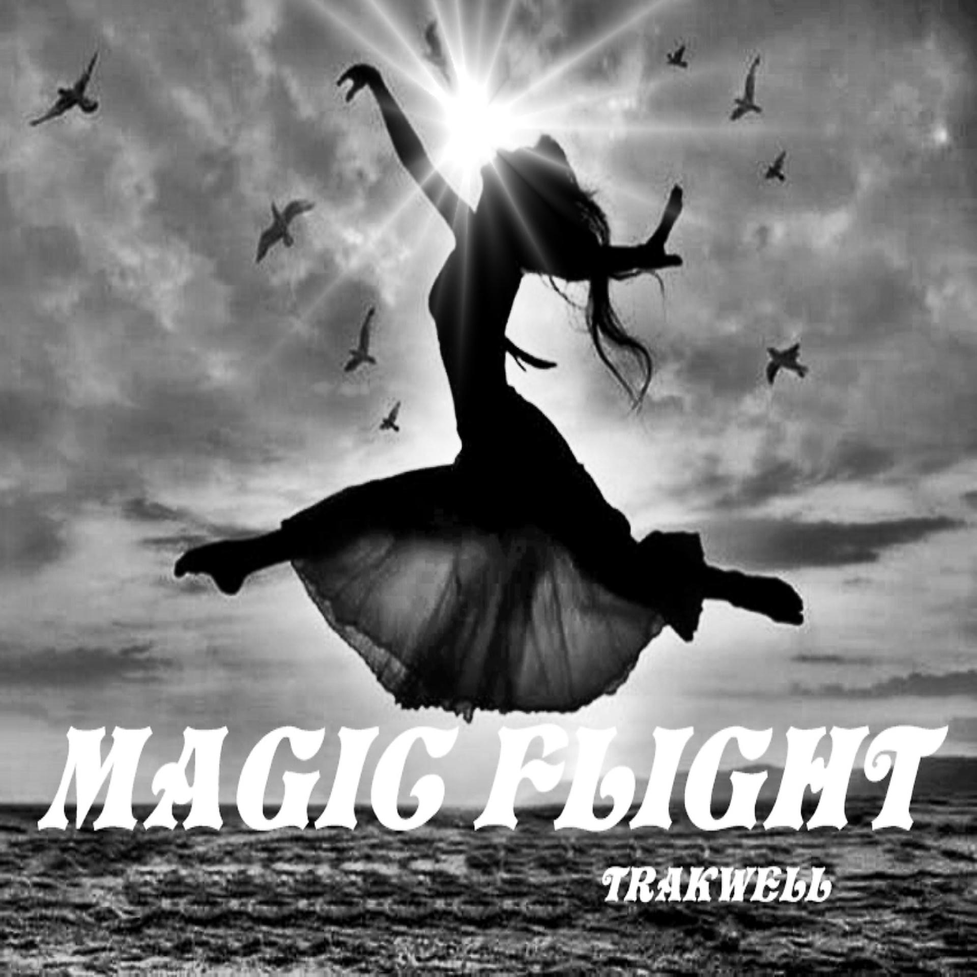 Постер альбома Magic Flight