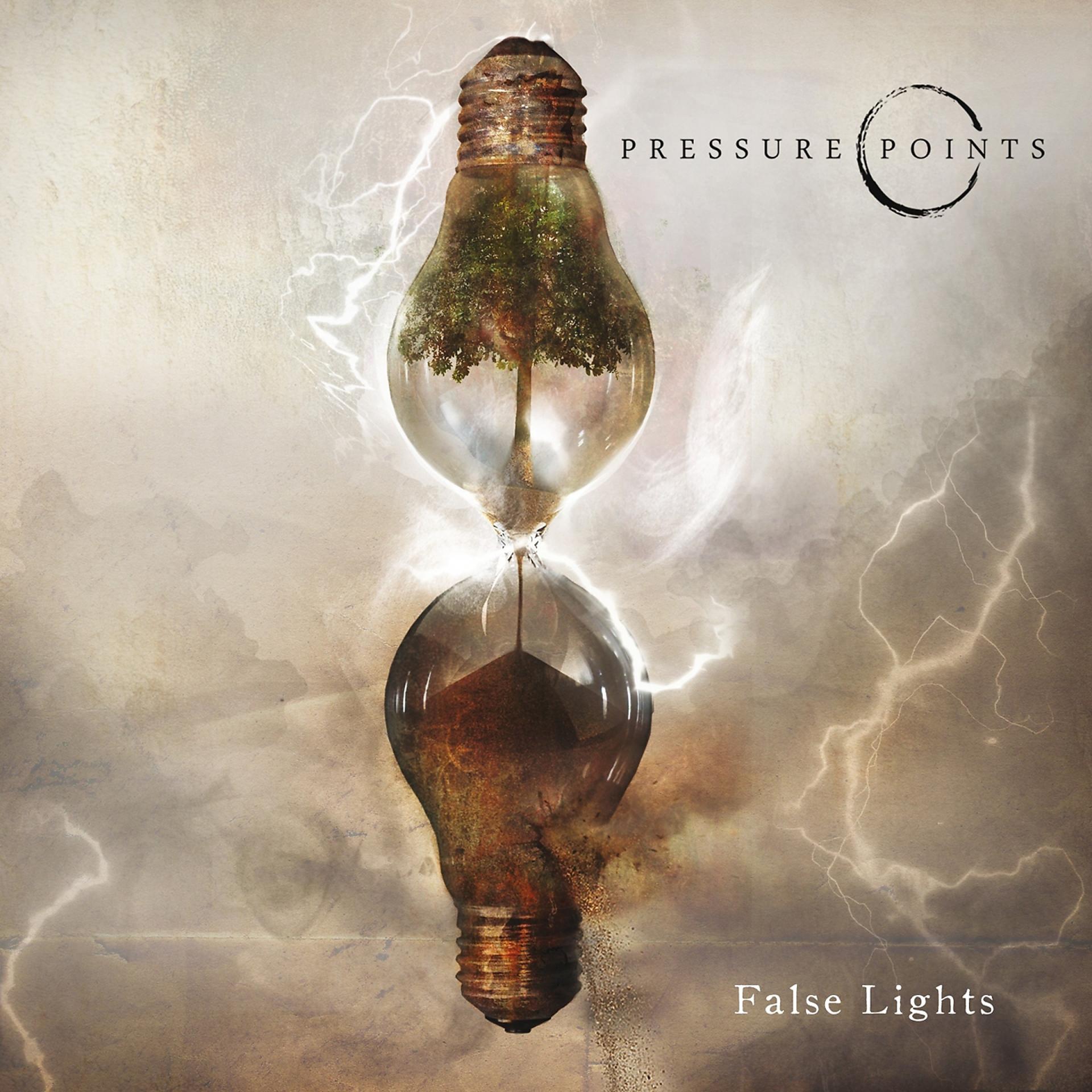Постер альбома False Lights