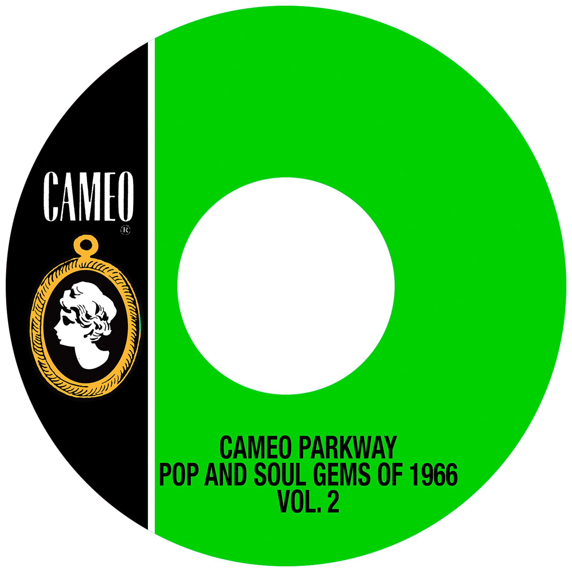 Постер альбома Cameo Parkway Pop And Soul Gems Of 1966 Vol. 2