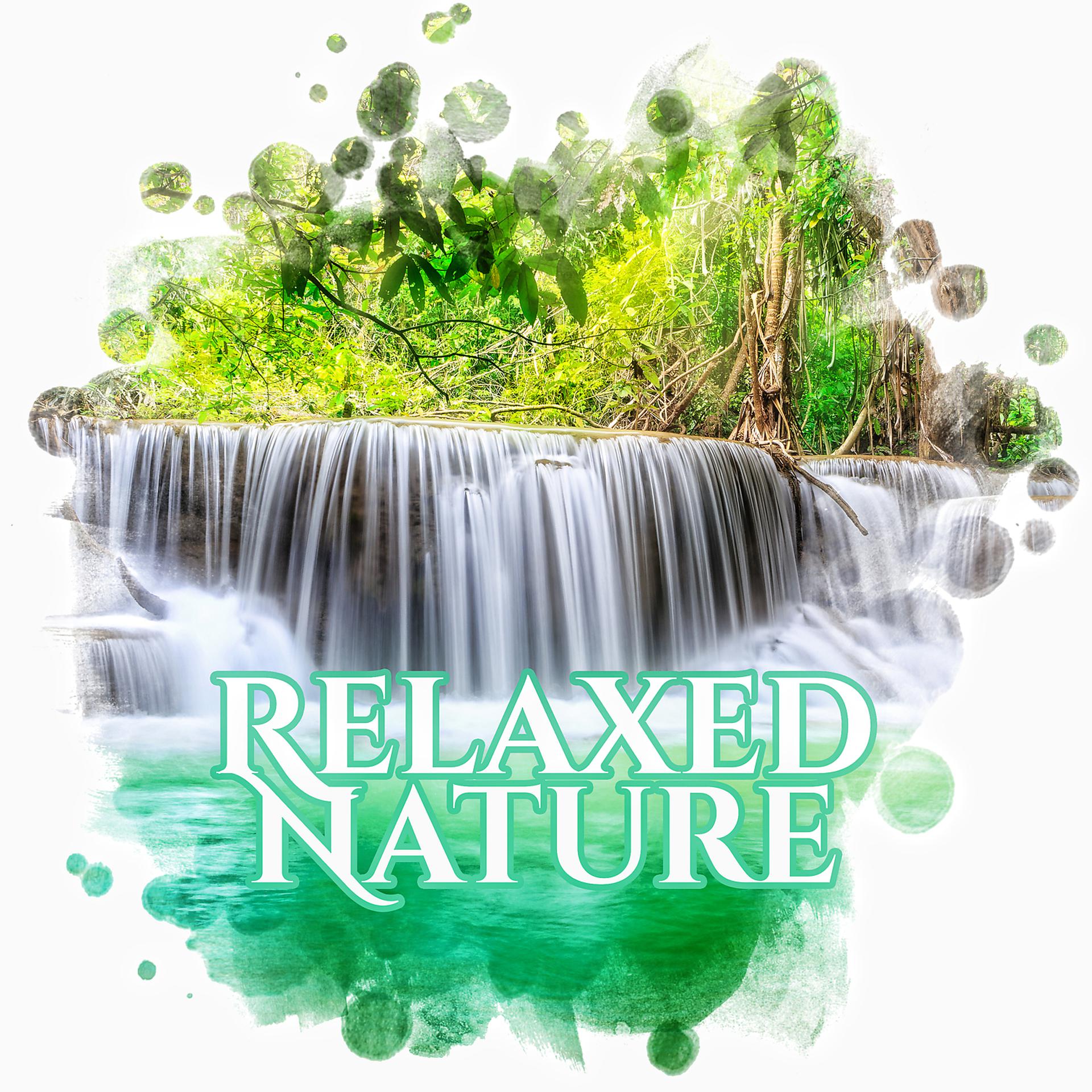 Постер альбома Relaxed Nature – Nature Sounds fore Relaxation, Meditation and Stress Relief