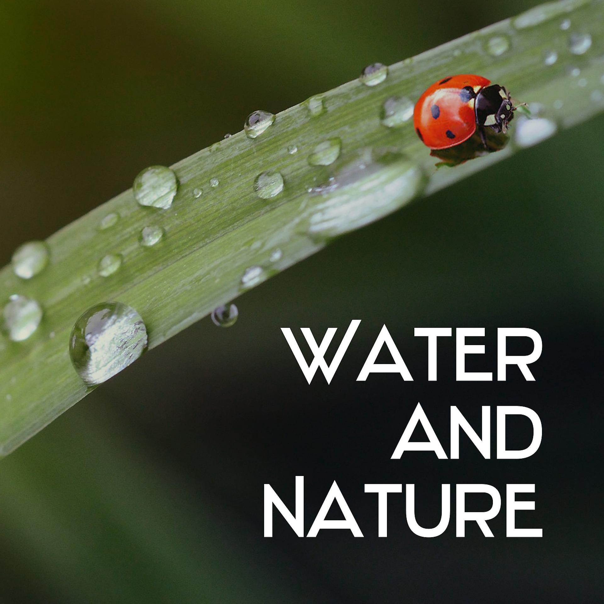 Постер альбома Water and Nature - Sounds of Nature, Serene Rain, Therapy Spa, Moments of Rest