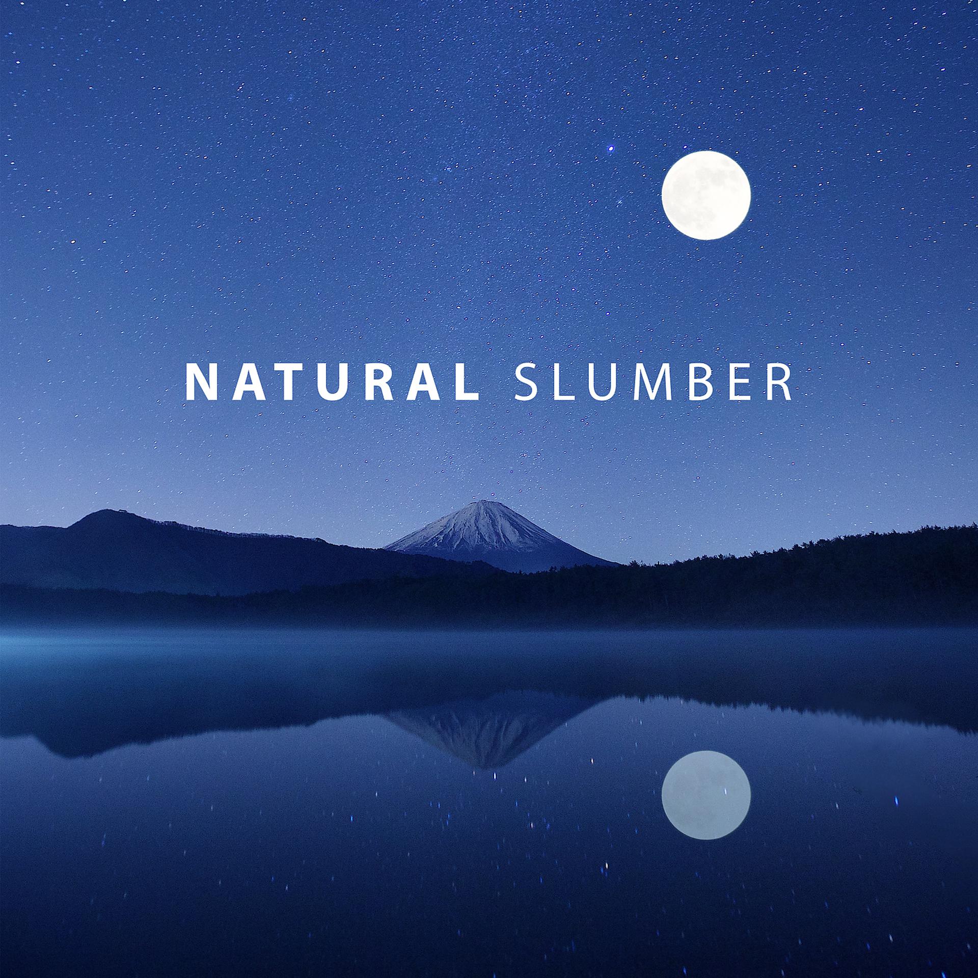 Постер альбома Natural Slumber – Nature Sound for Relaxation and Sleep