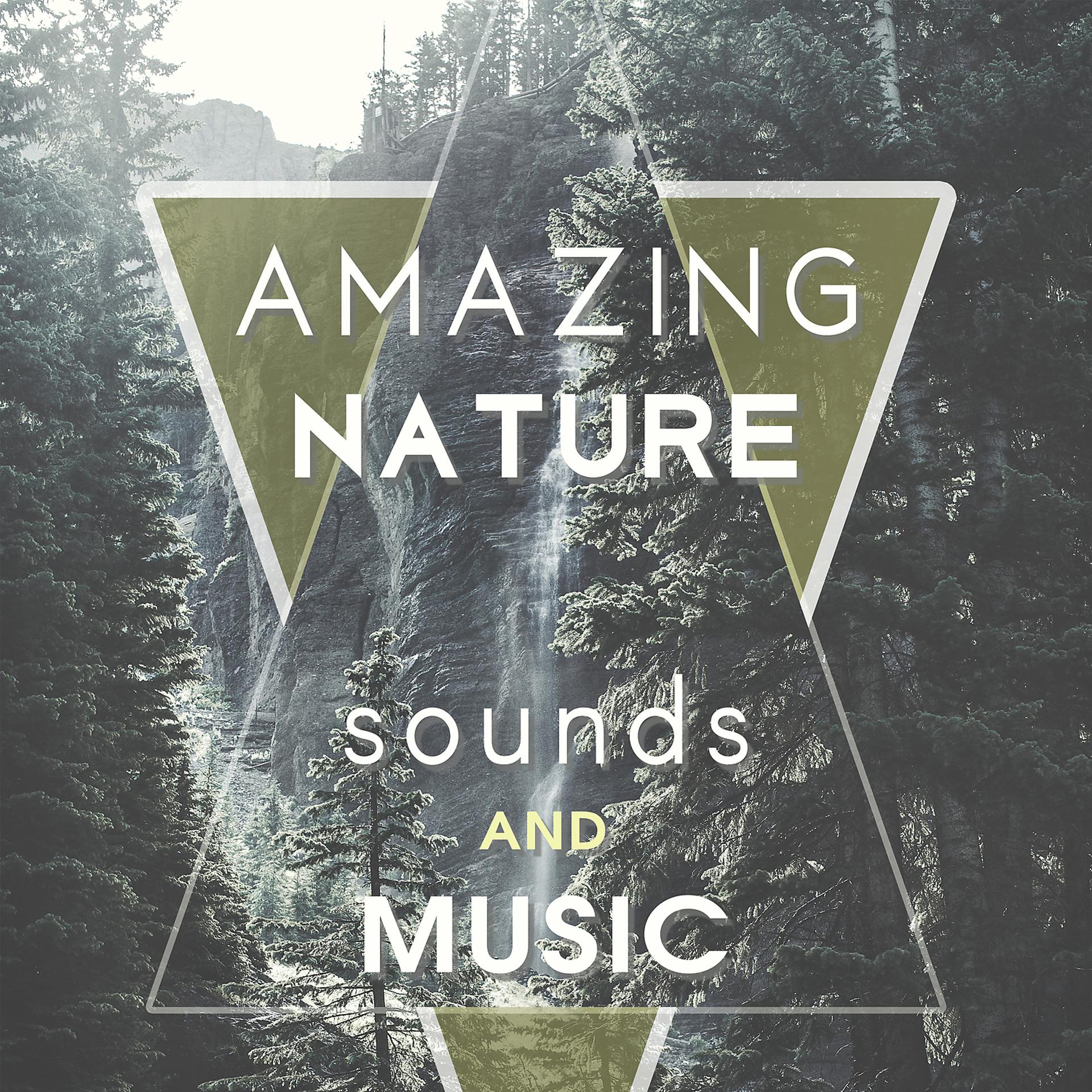 Постер альбома Amazing Nature Sounds and Music – Healing Sounds of Nature, Soothing Nature, Clear Your Mind, Natural Music