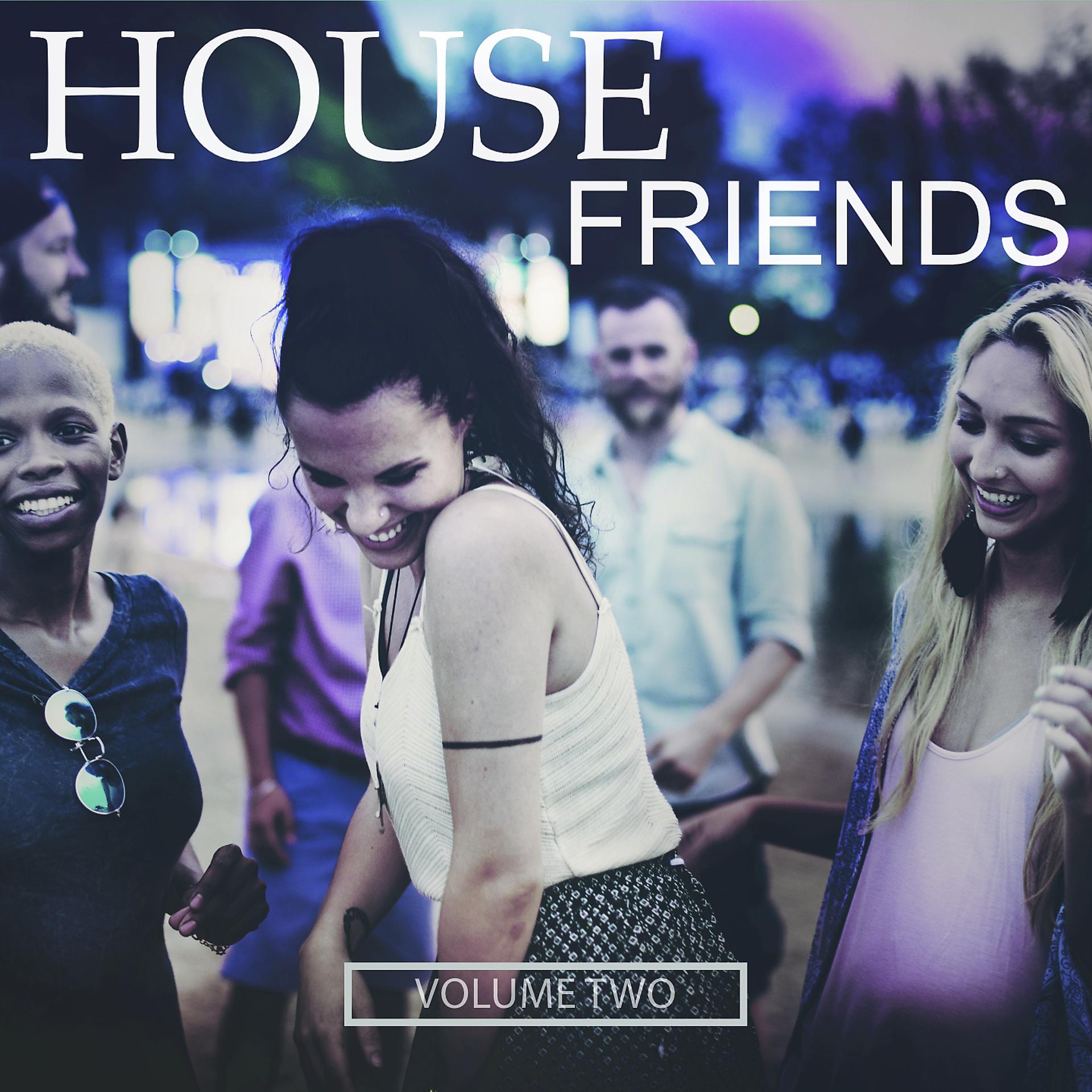 Постер альбома House Friends, Vol. 2