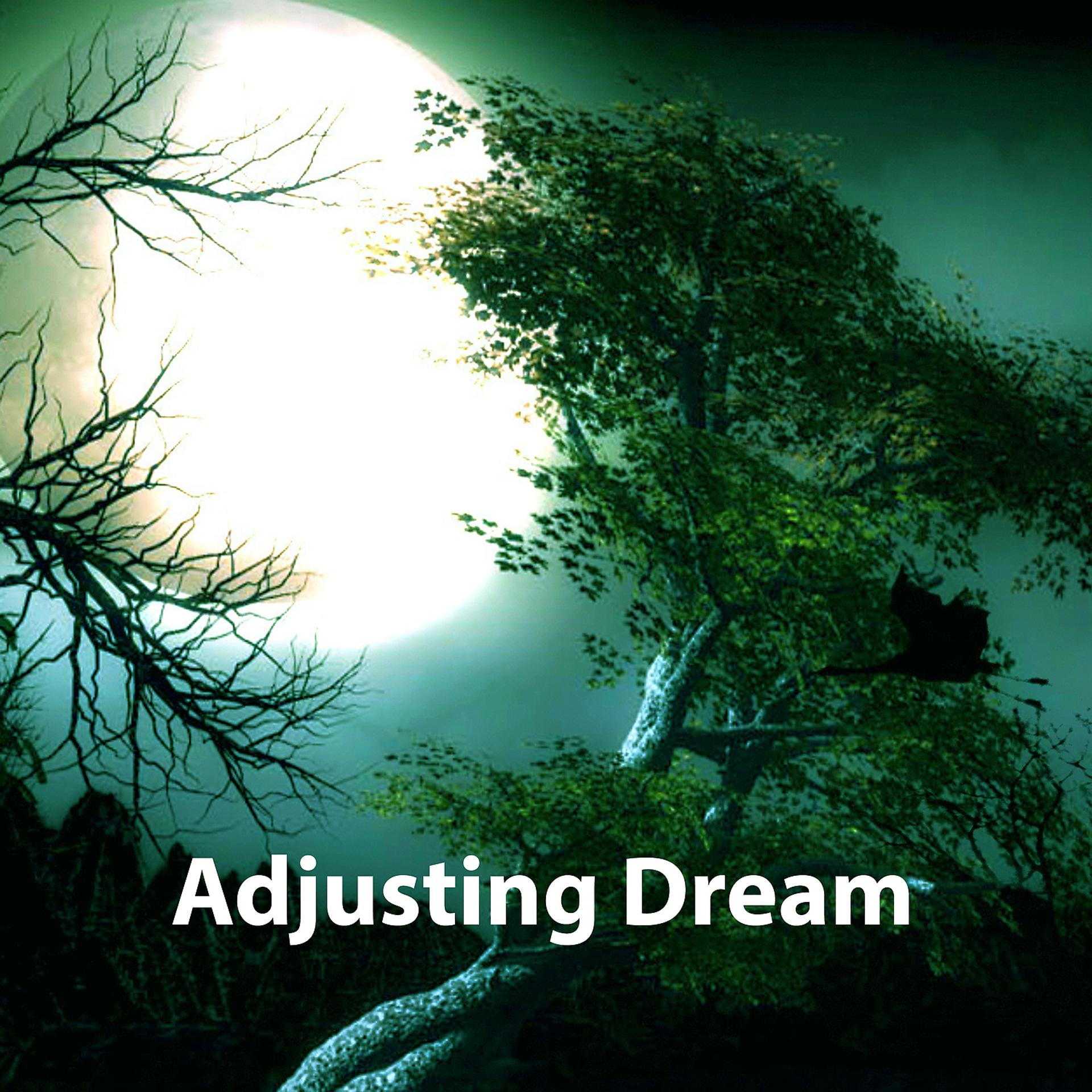 Постер альбома Adjusting Dream - Sweet Dream, More Beautiful Dreams, SWS Sleep, World Tales, Changing Rhythm Day, Croon Lullaby