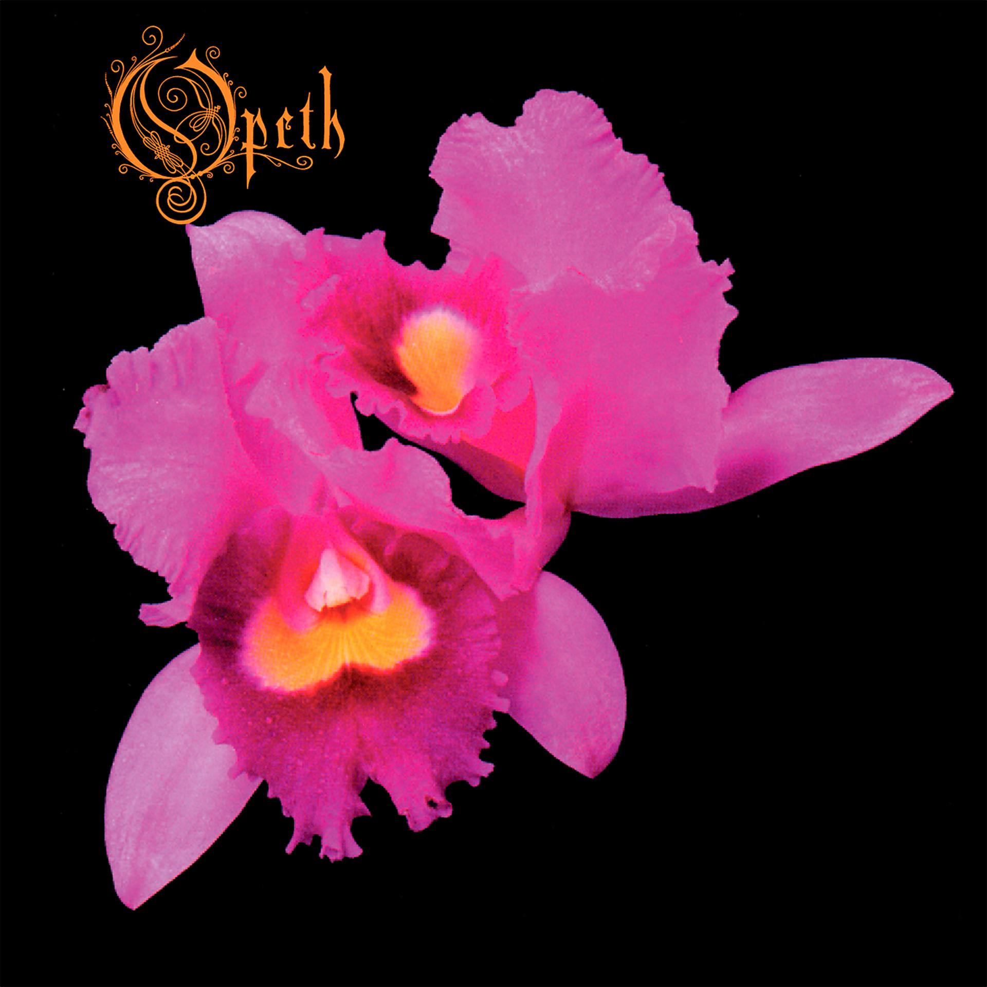 Постер альбома Orchid