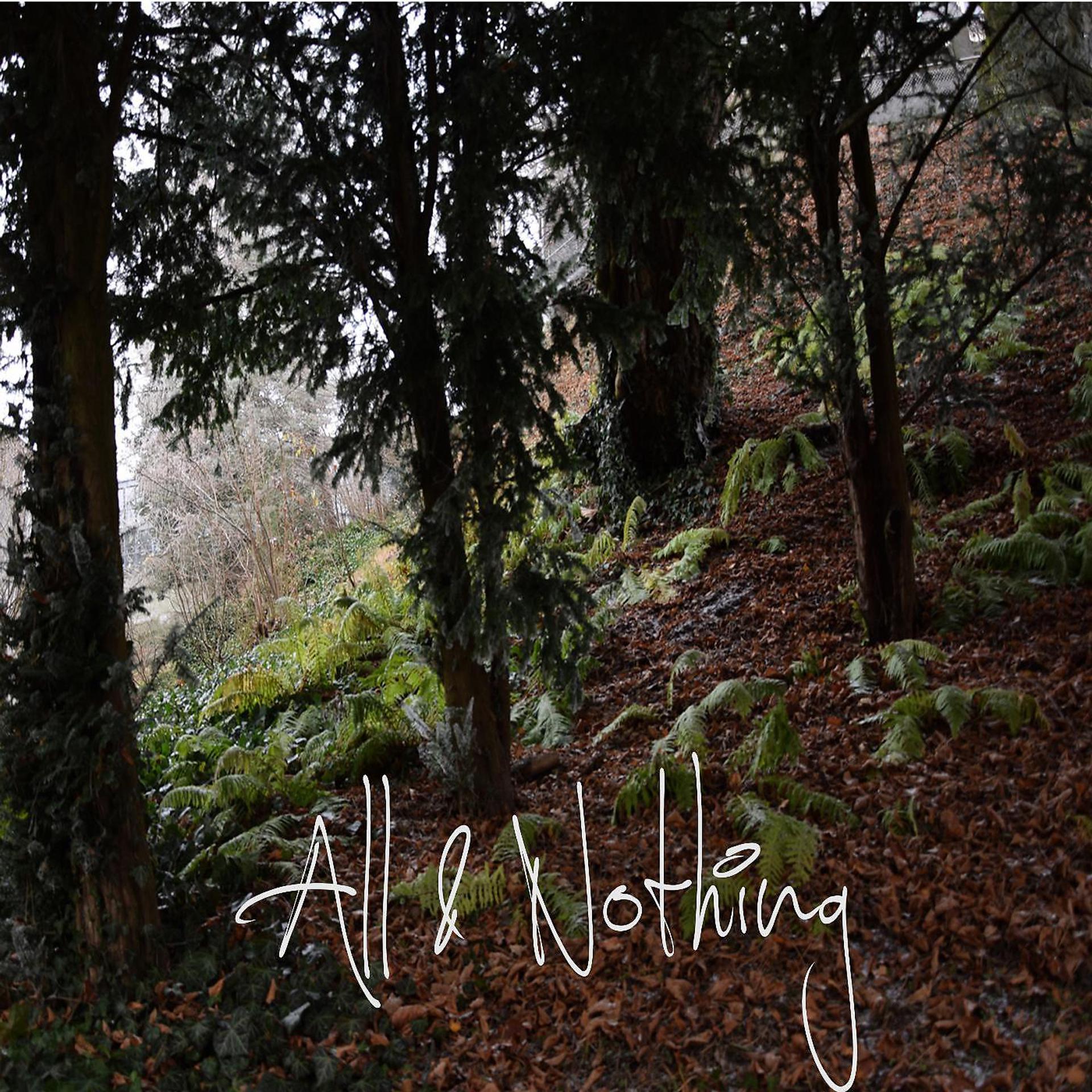Постер альбома All & Nothing