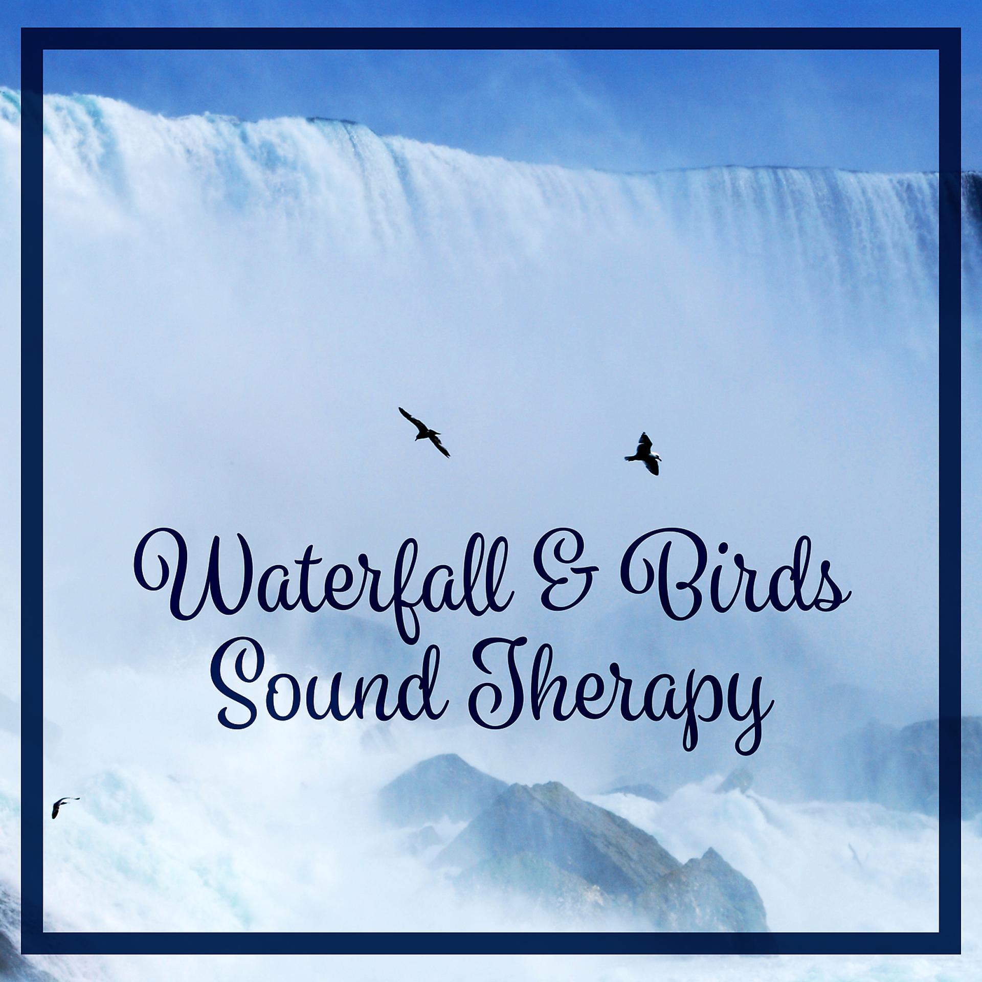 Постер альбома Waterfall & Birds Sound Therapy: Relaxing Nature Music for Meditation & Yoga & Massage & Deep Sleep