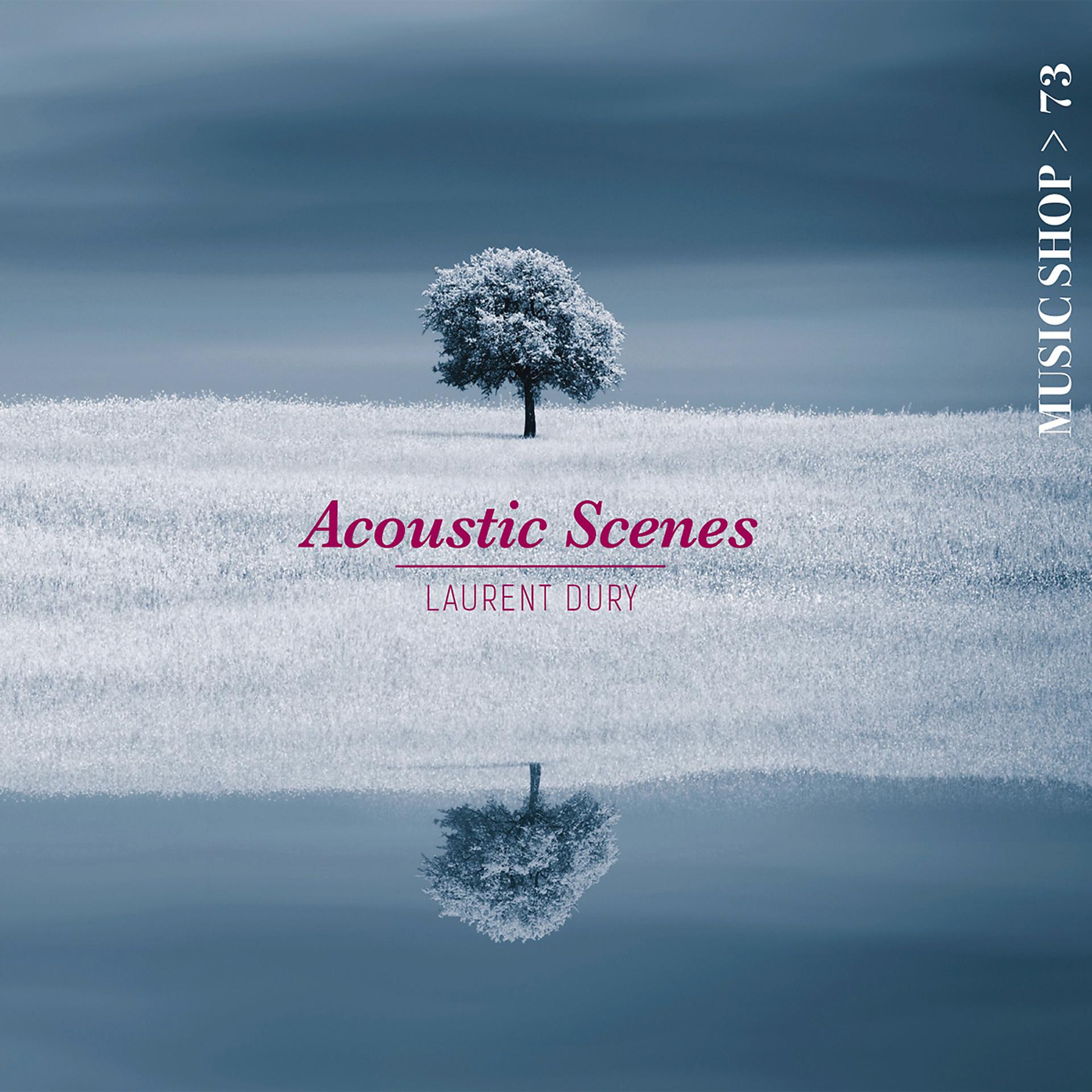 Постер альбома Acoustic Scenes