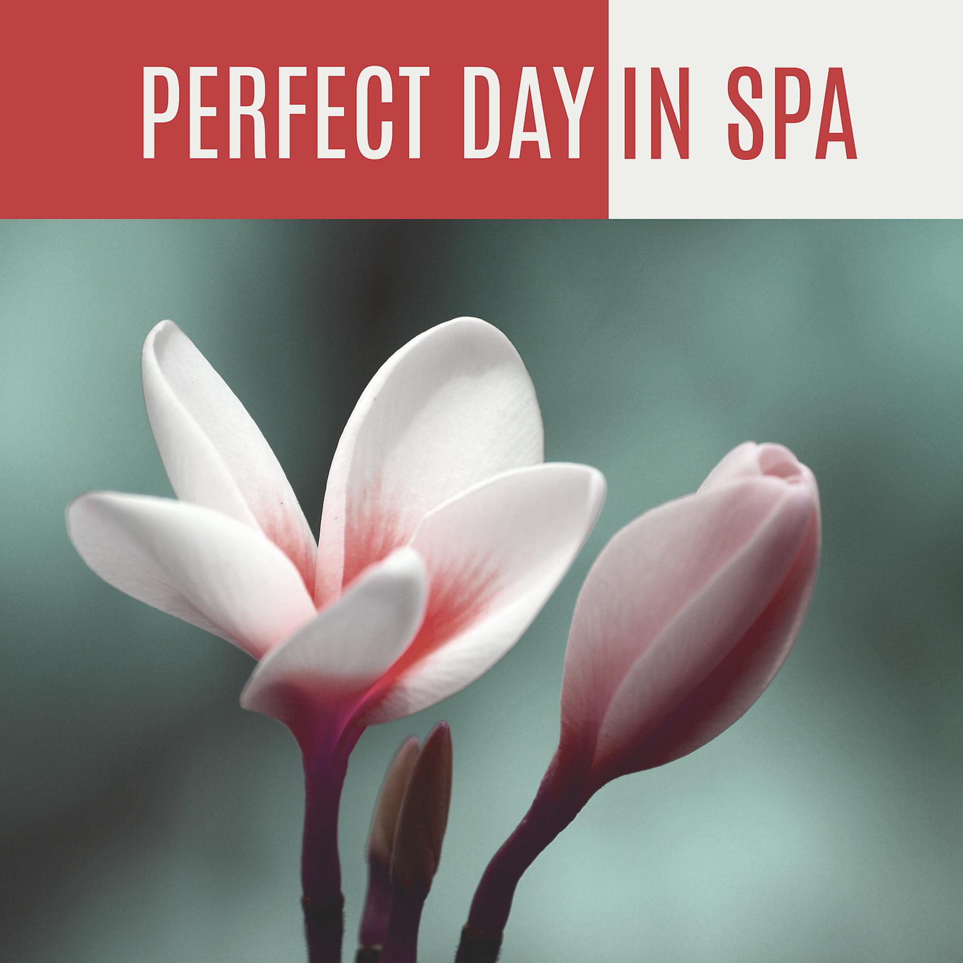 Постер альбома Perfect Day in Spa - Cool Fun, Interesting Experience, Day Spa, Massage and Recreation, Sounds to Mute, Moment for the Breath
