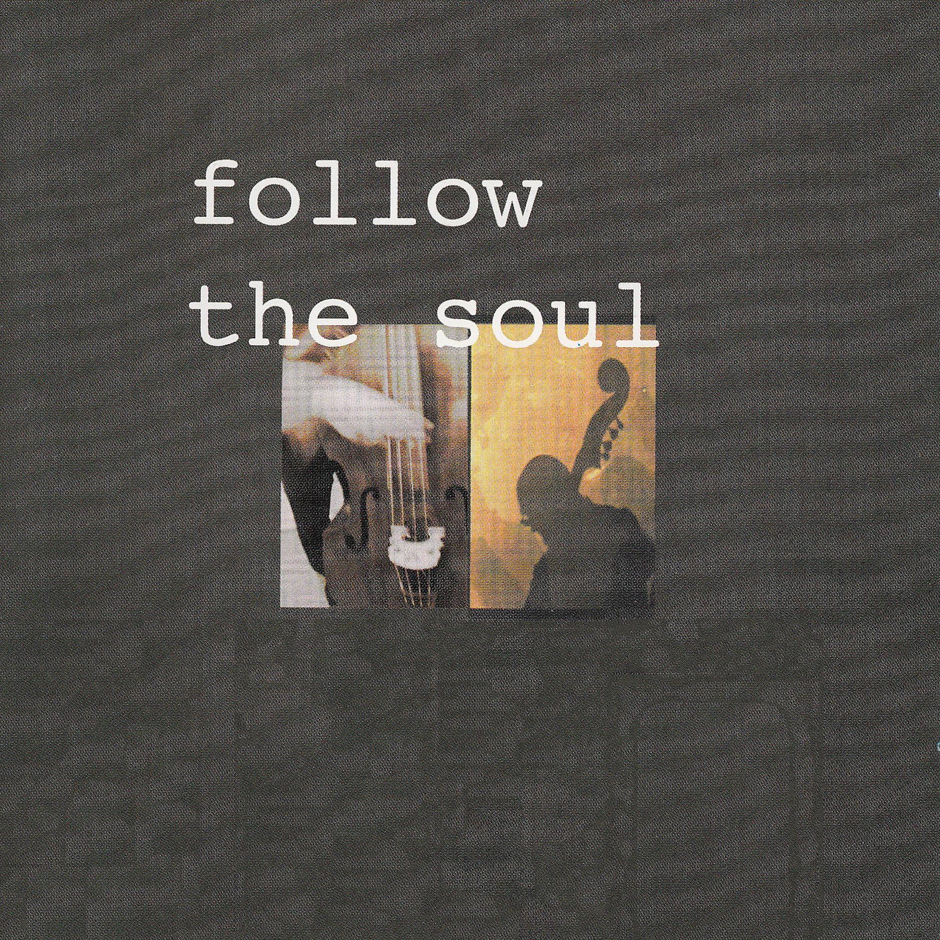 Постер альбома Follow the Soul