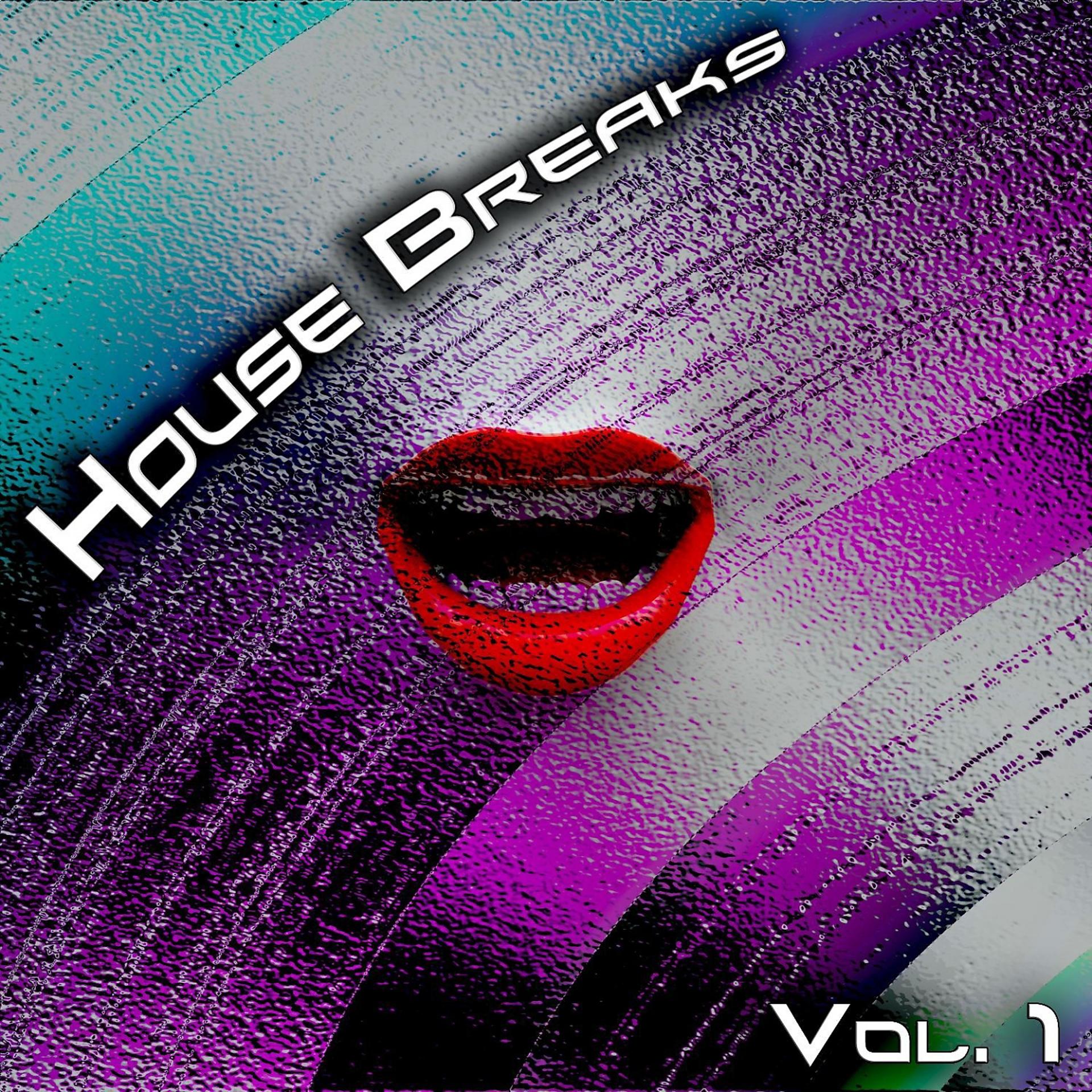 Постер альбома House Breaks, Vol. 1