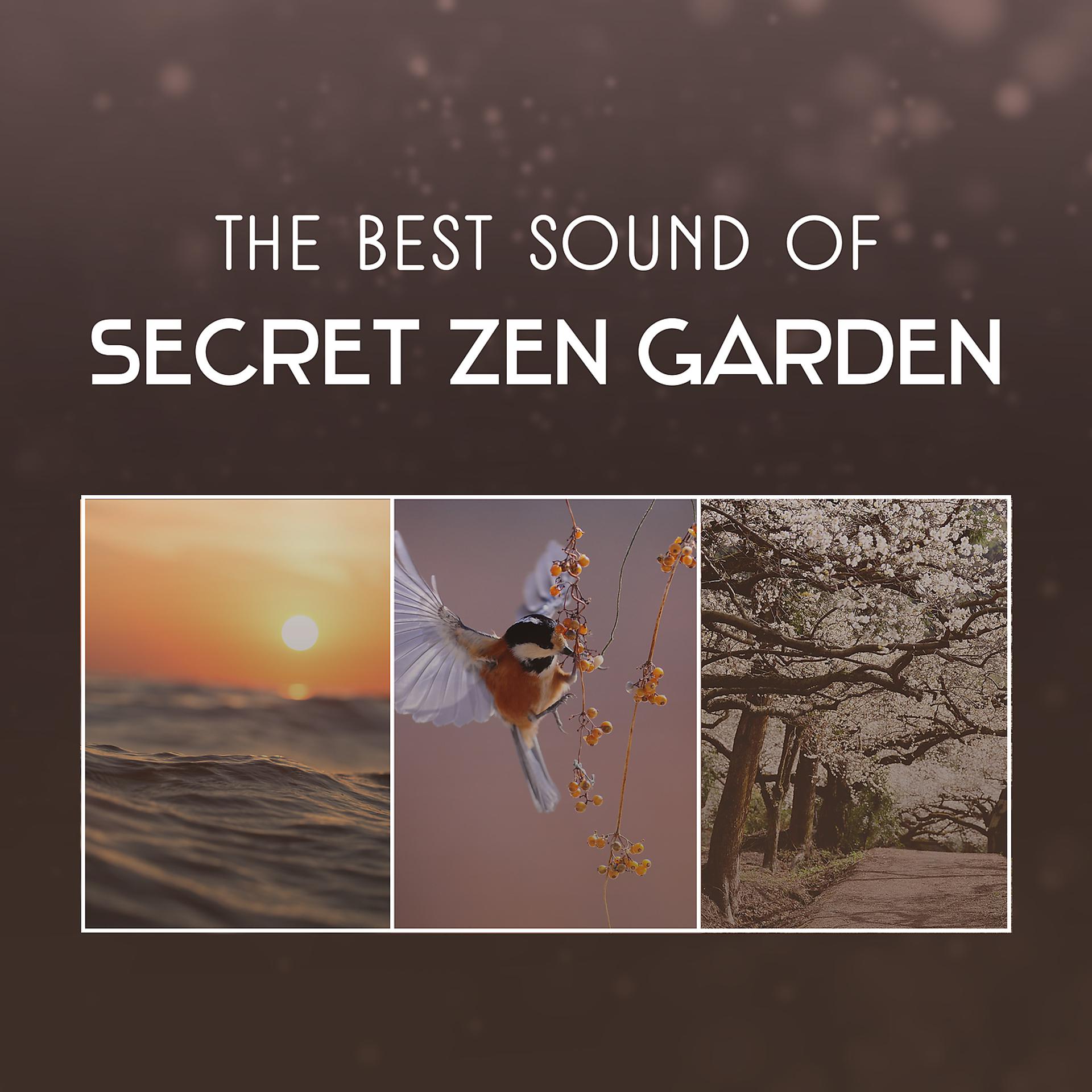 Постер альбома The Best Sound of Secret Zen Garden – Peaceful Nature and Birds, Relaxing Mood for Stress Relief, Yoga and Meditation