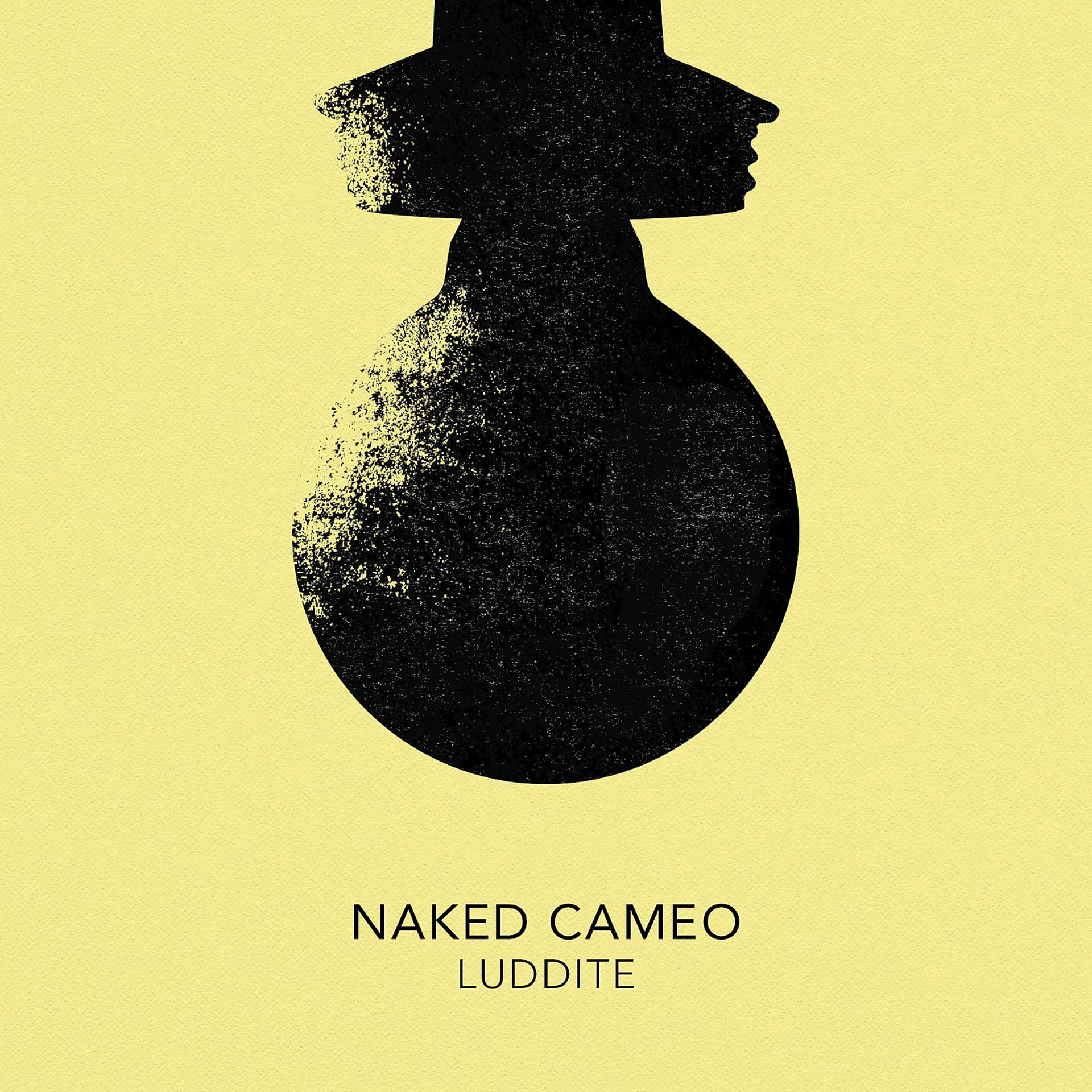 Постер альбома Luddite
