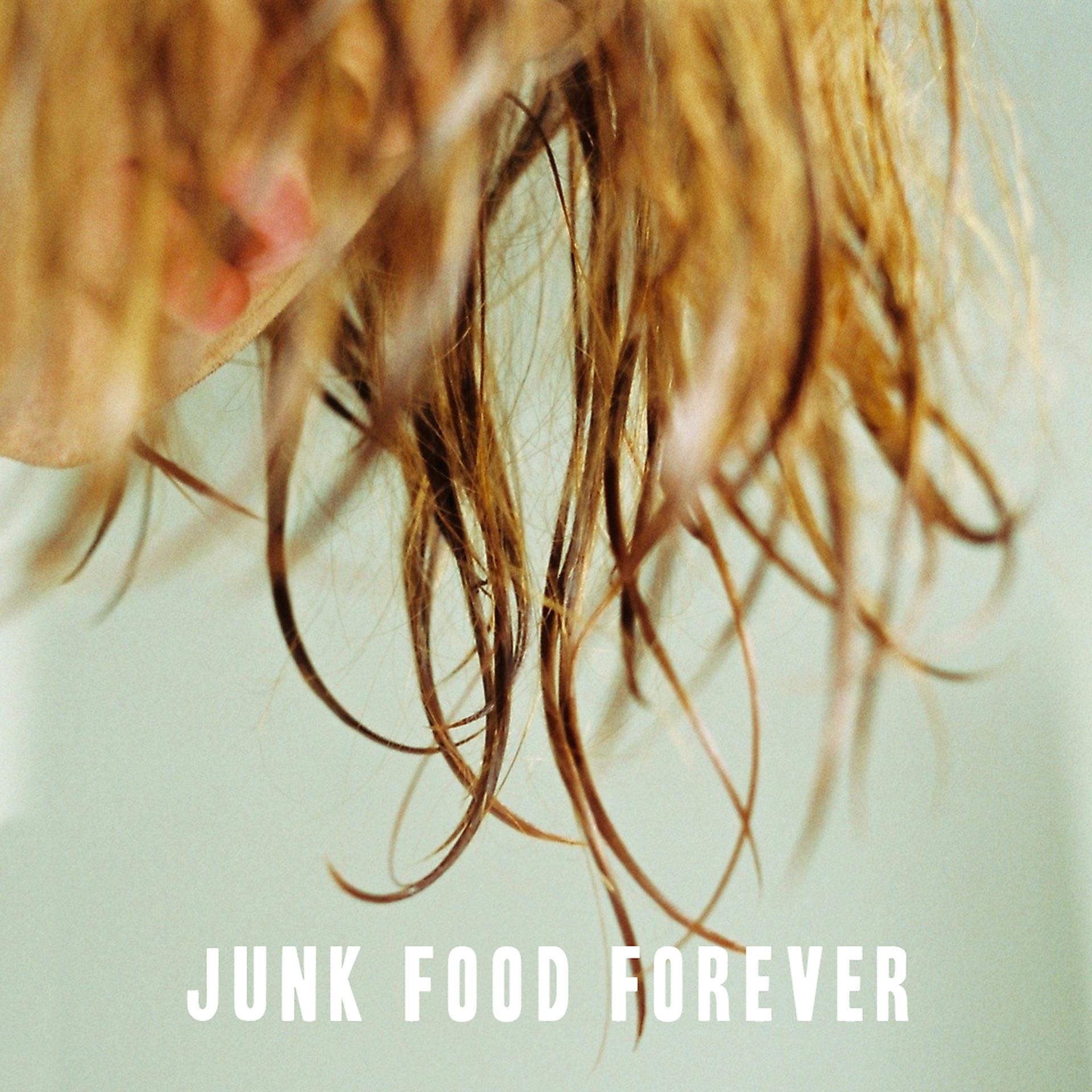 Постер альбома Junk Food Forever