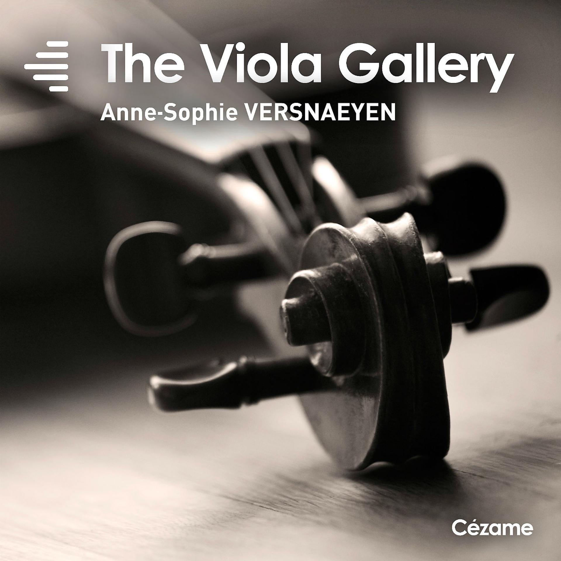Постер альбома The Viola Gallery
