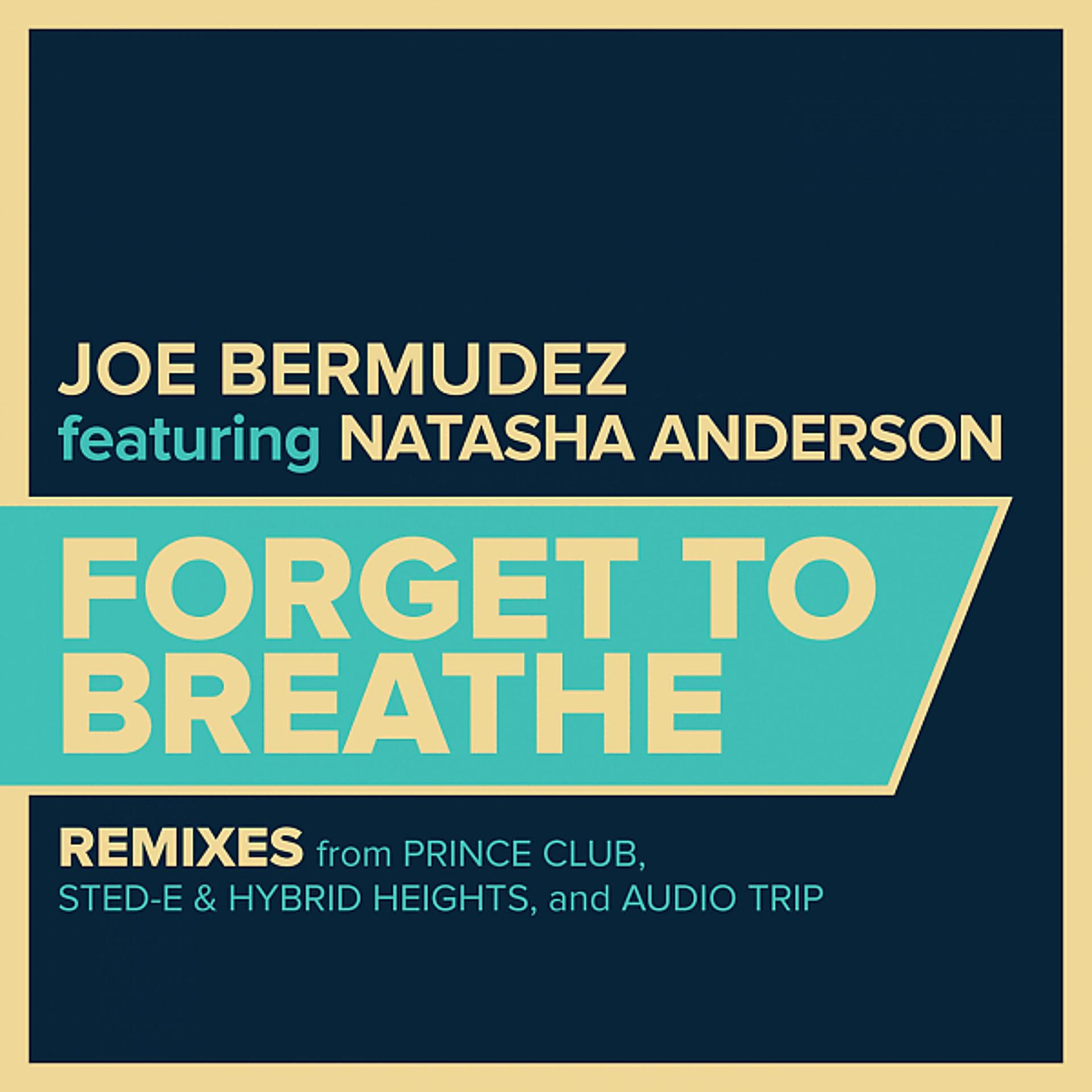 Постер альбома Forget To Breathe: Remixes, Pt. 1 (feat. Natasha Anderson)