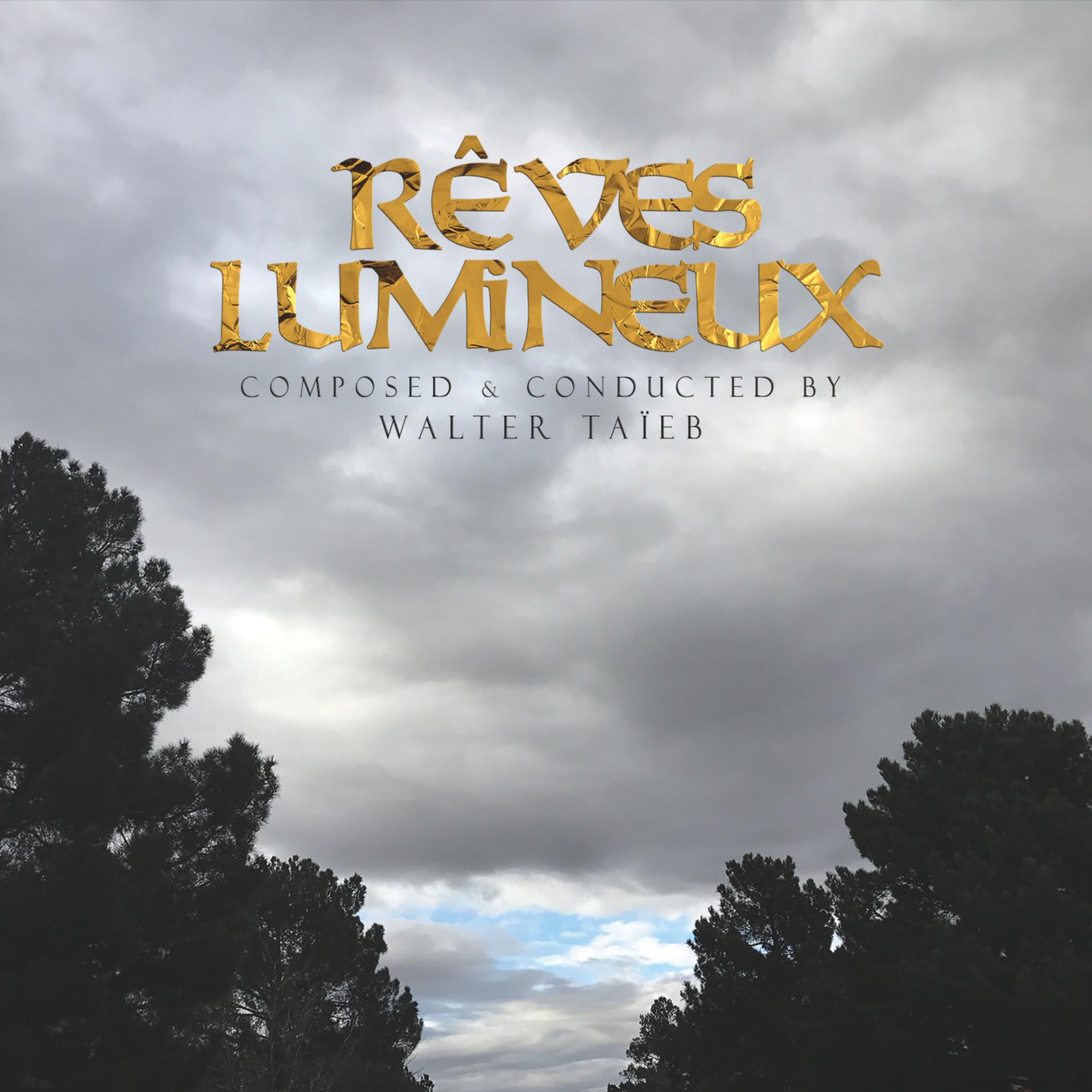 Постер альбома Rêves lumineux