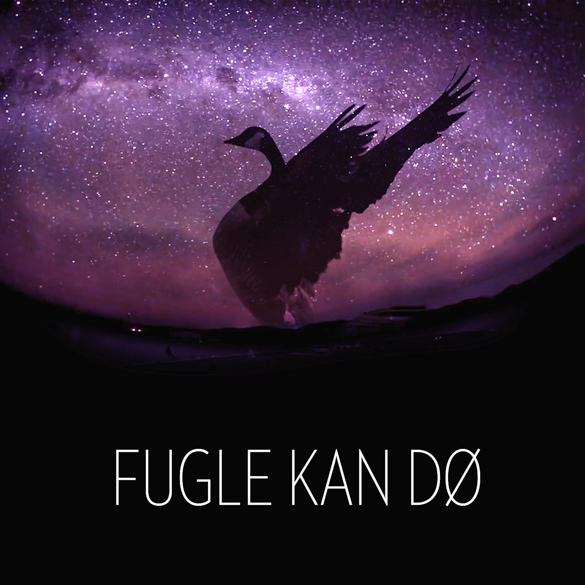 Постер альбома Fugle Kan Dø