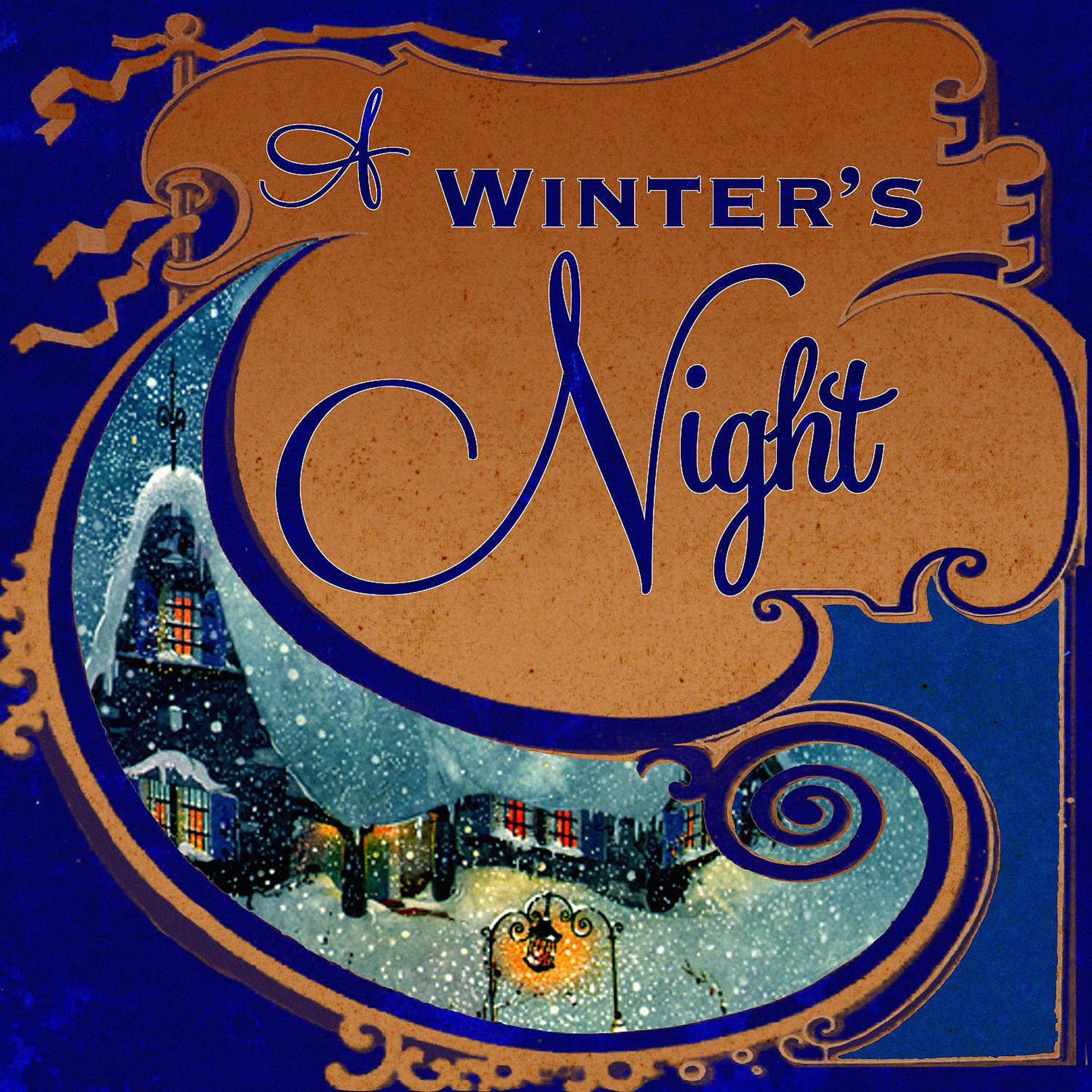 Постер альбома A Winter's Night, Vol. 1