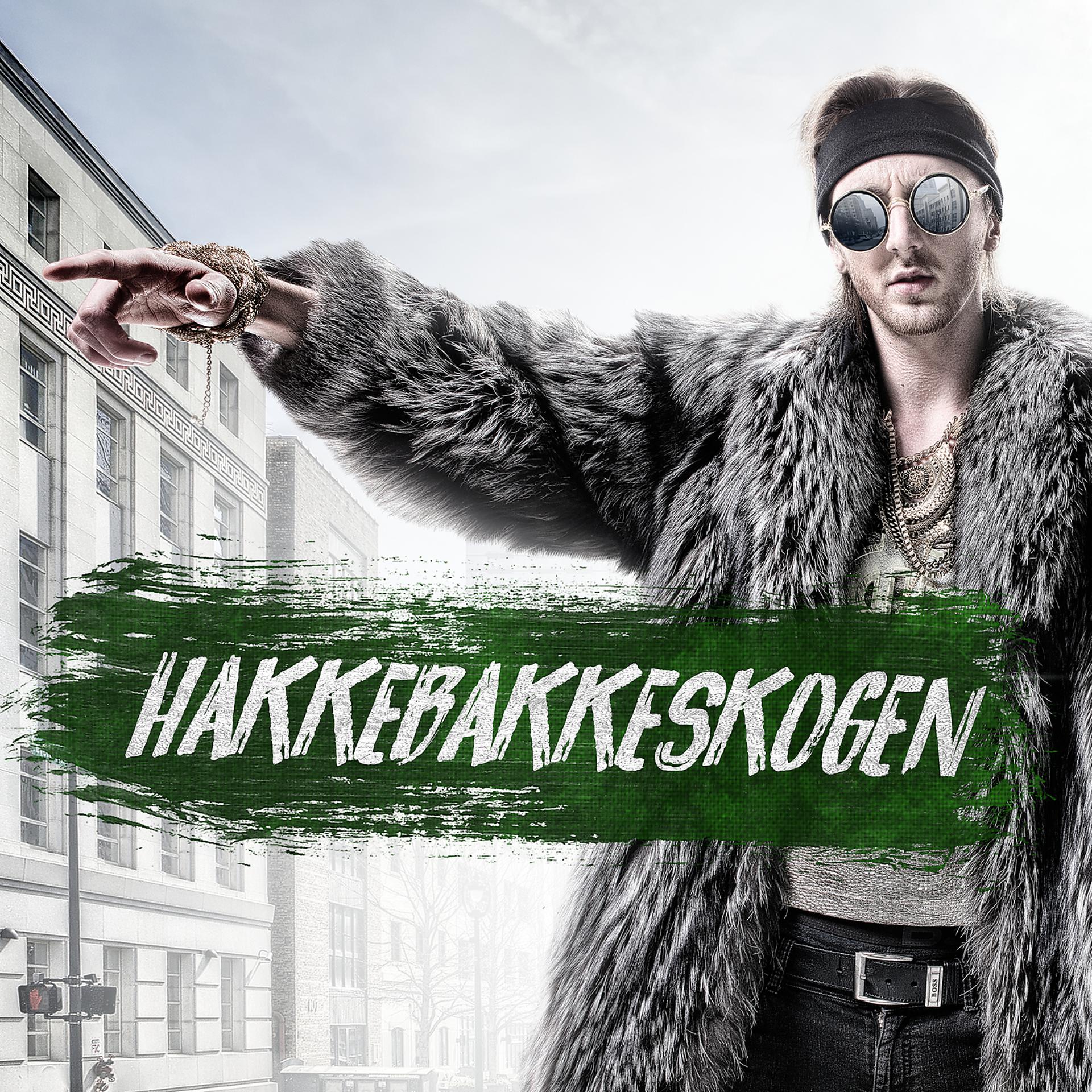 Постер альбома Hakkebakkeskogen 2017