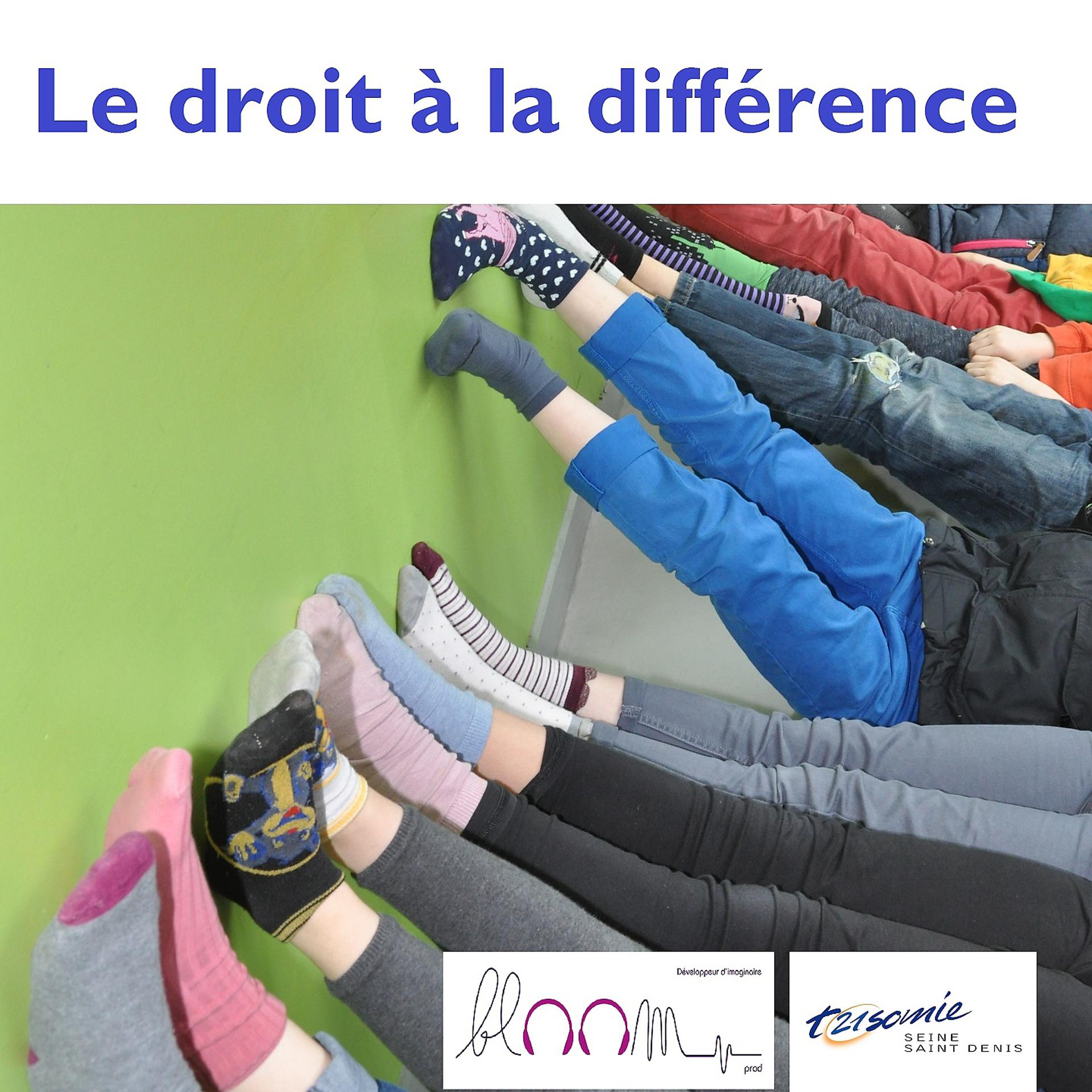 Постер альбома Le droit à la différence