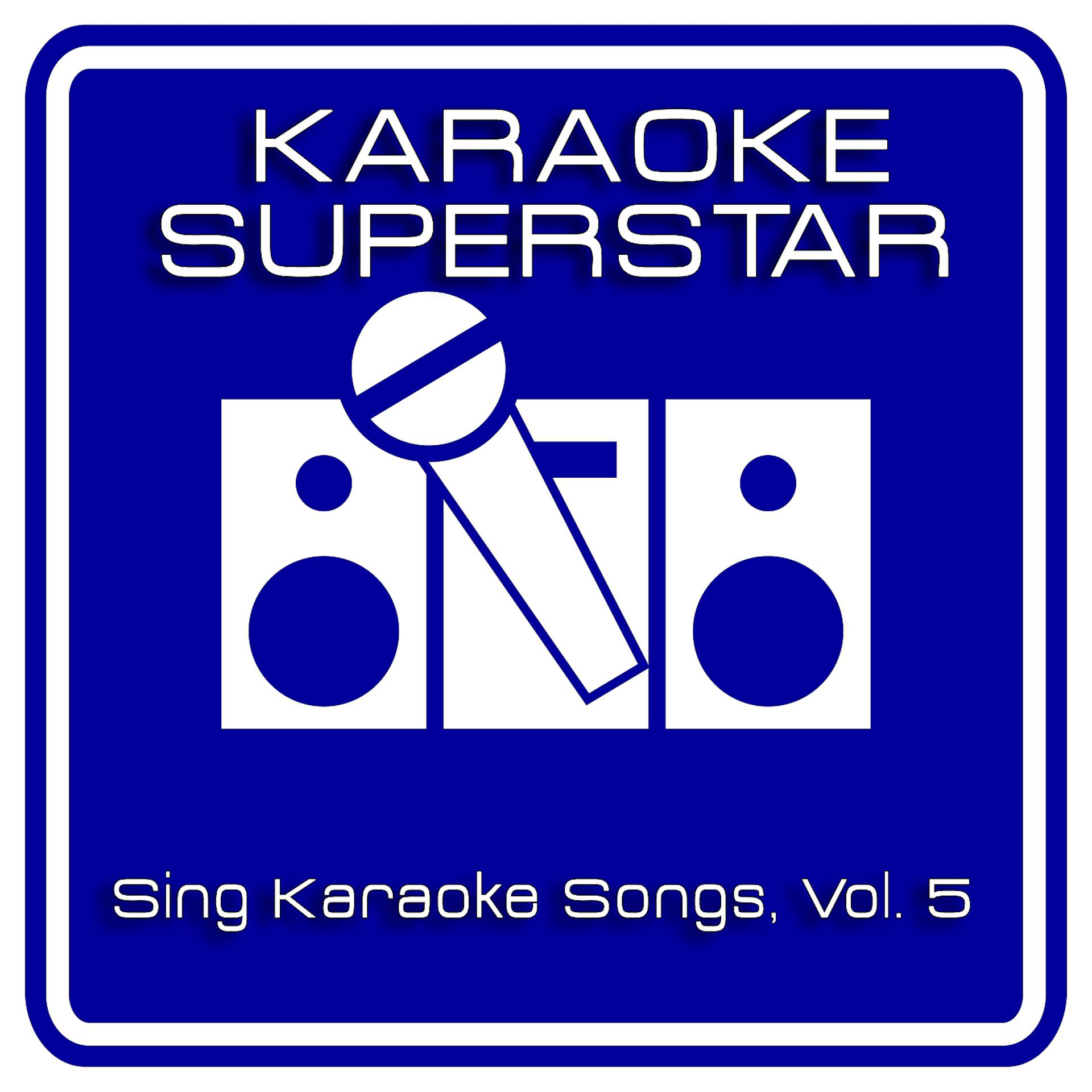 Постер альбома Sing Karaoke Songs, Vol. 5