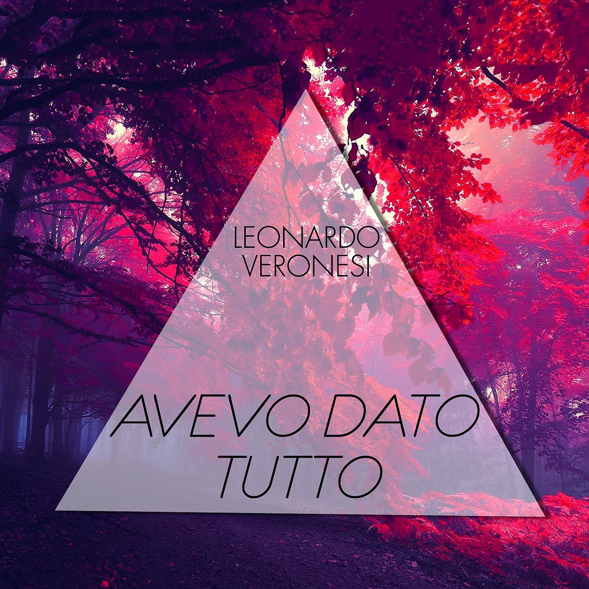 Постер альбома Avevo dato tutto