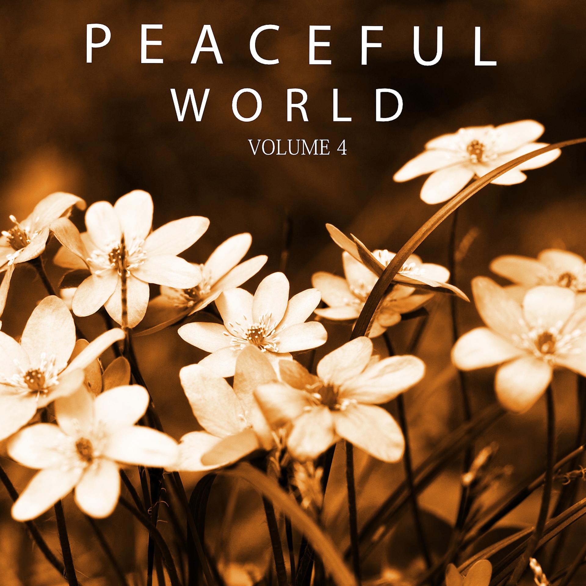 Постер альбома Peaceful World, Vol. 4