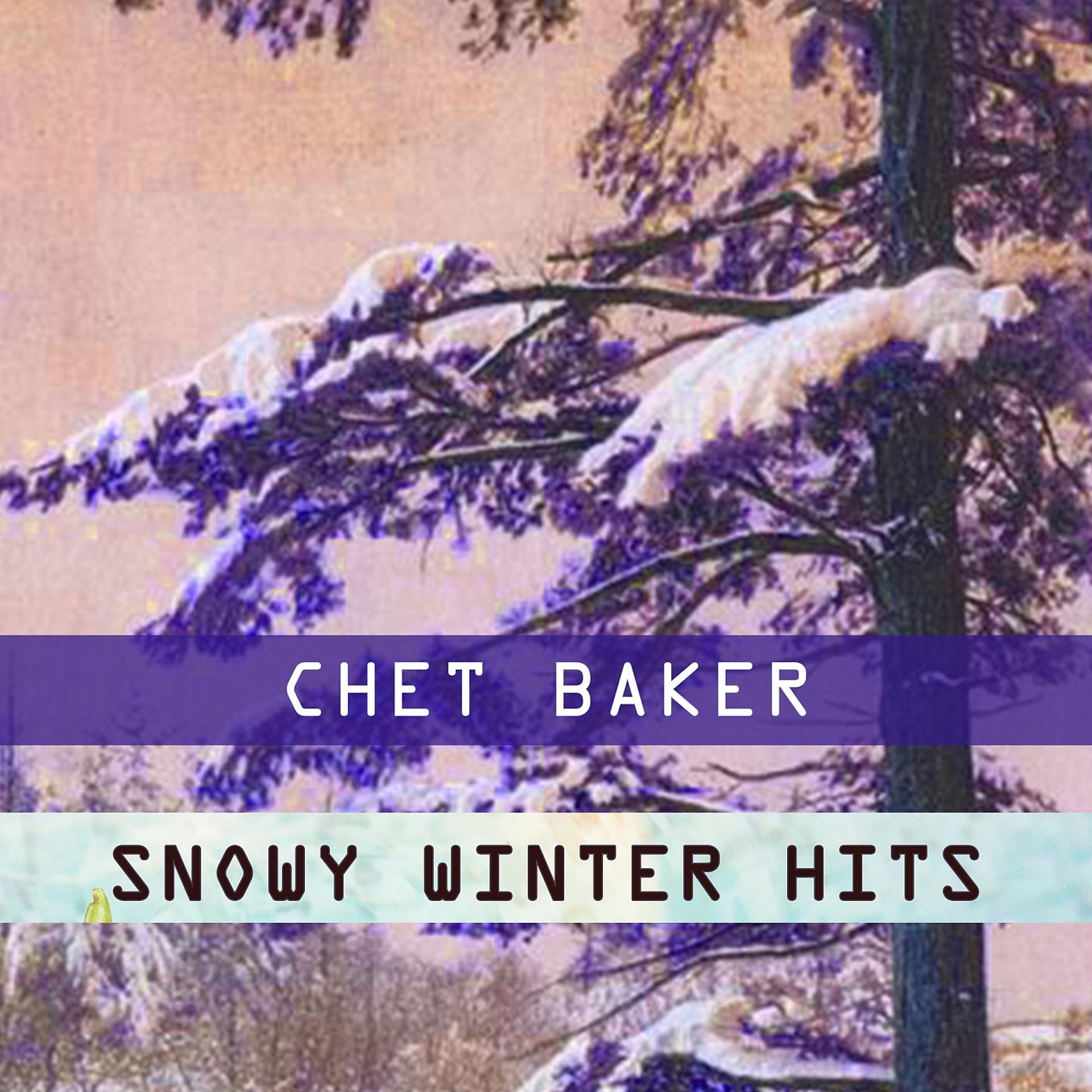 Постер альбома Snowy Winter Hits