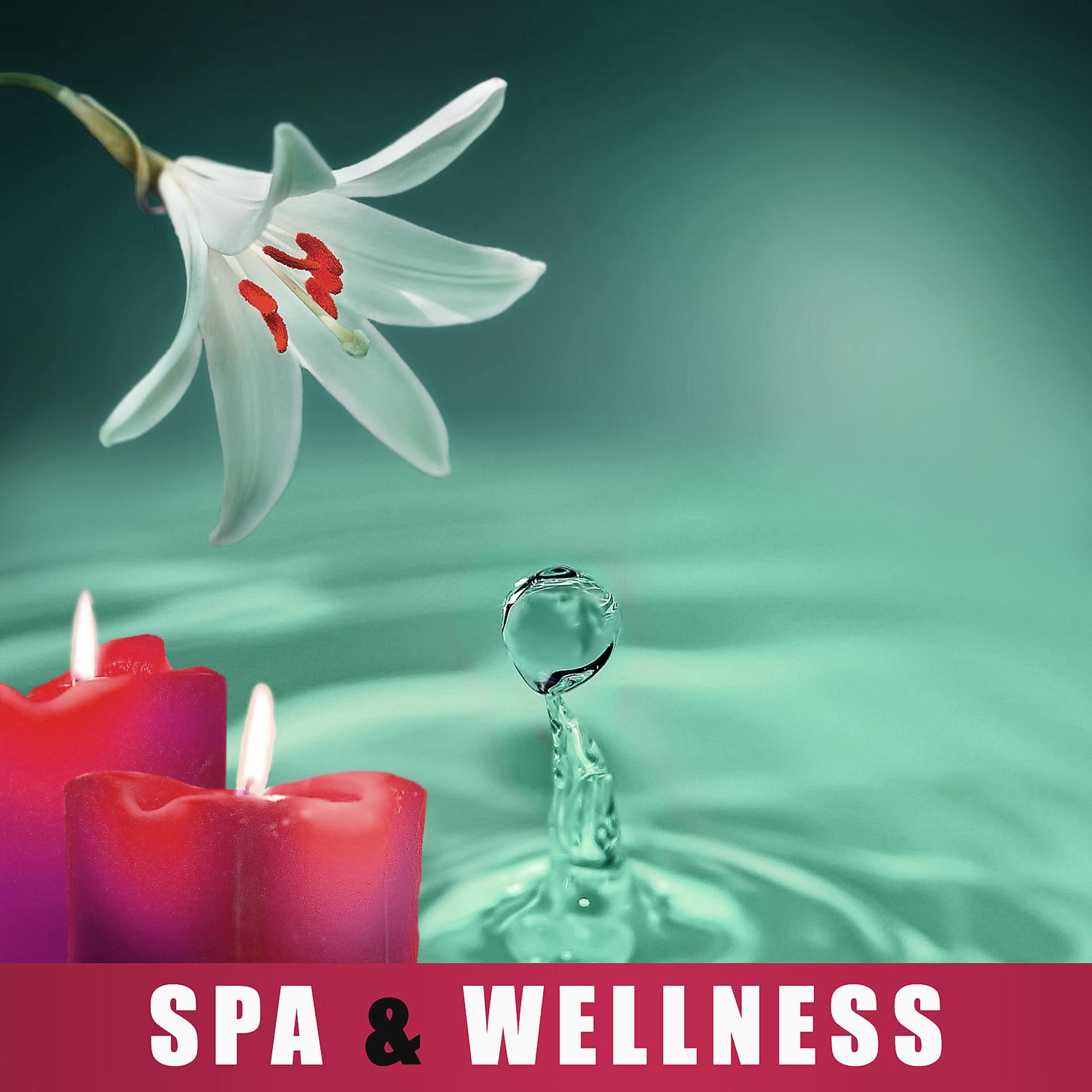 Постер альбома Spa & Wellness – Calm Relaxation, Beautiful Spa Moments, Sensual Massage, Massage Therapy, Nature Sounds