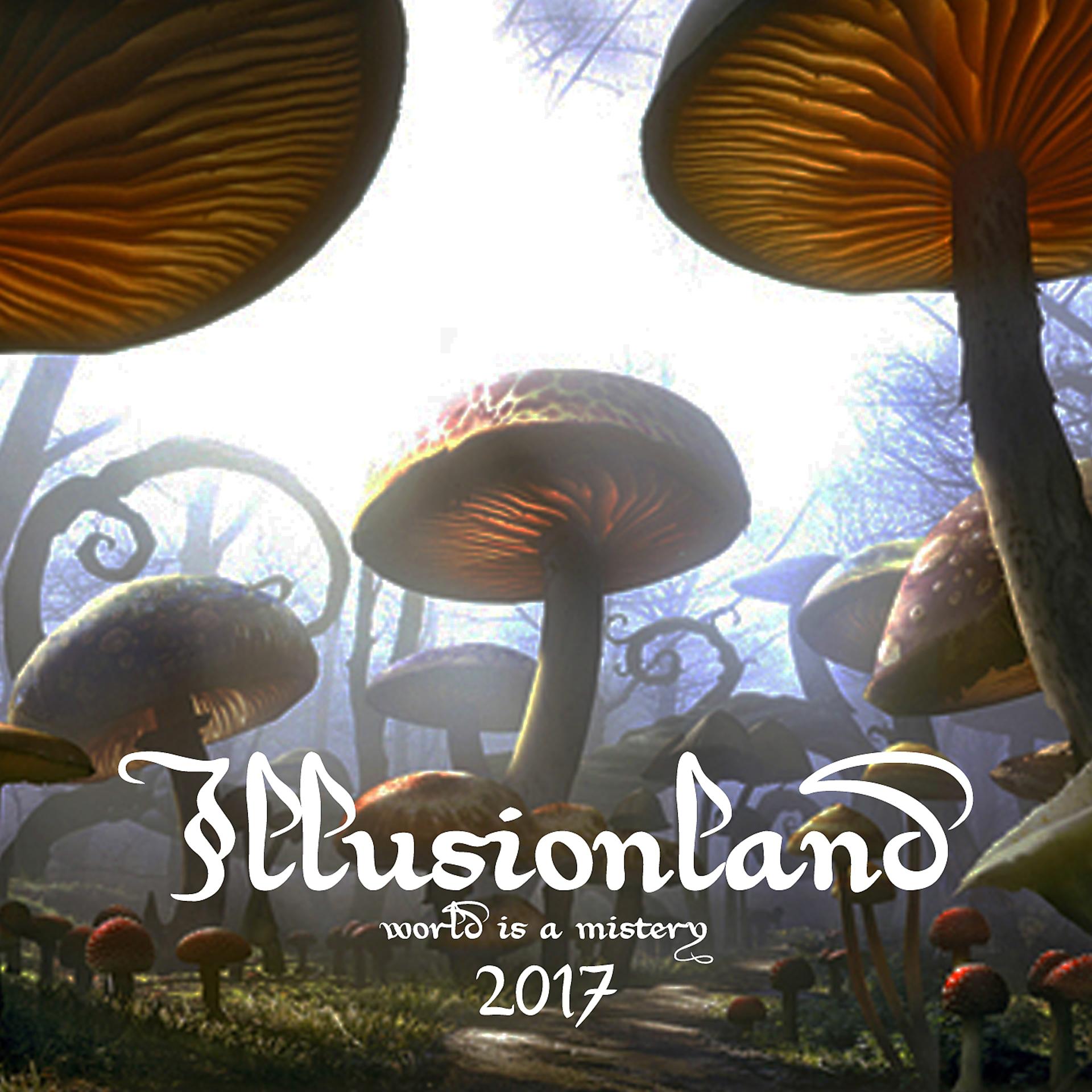 Постер альбома Illusionland