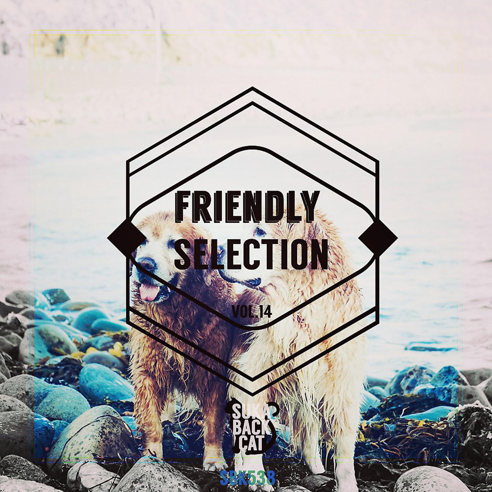 Постер альбома Friendly Selection, Vol. 14