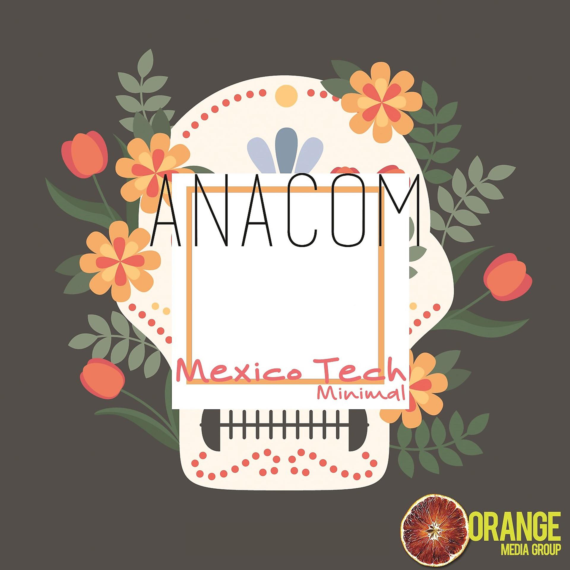 Постер альбома Mexico Tech Minimal